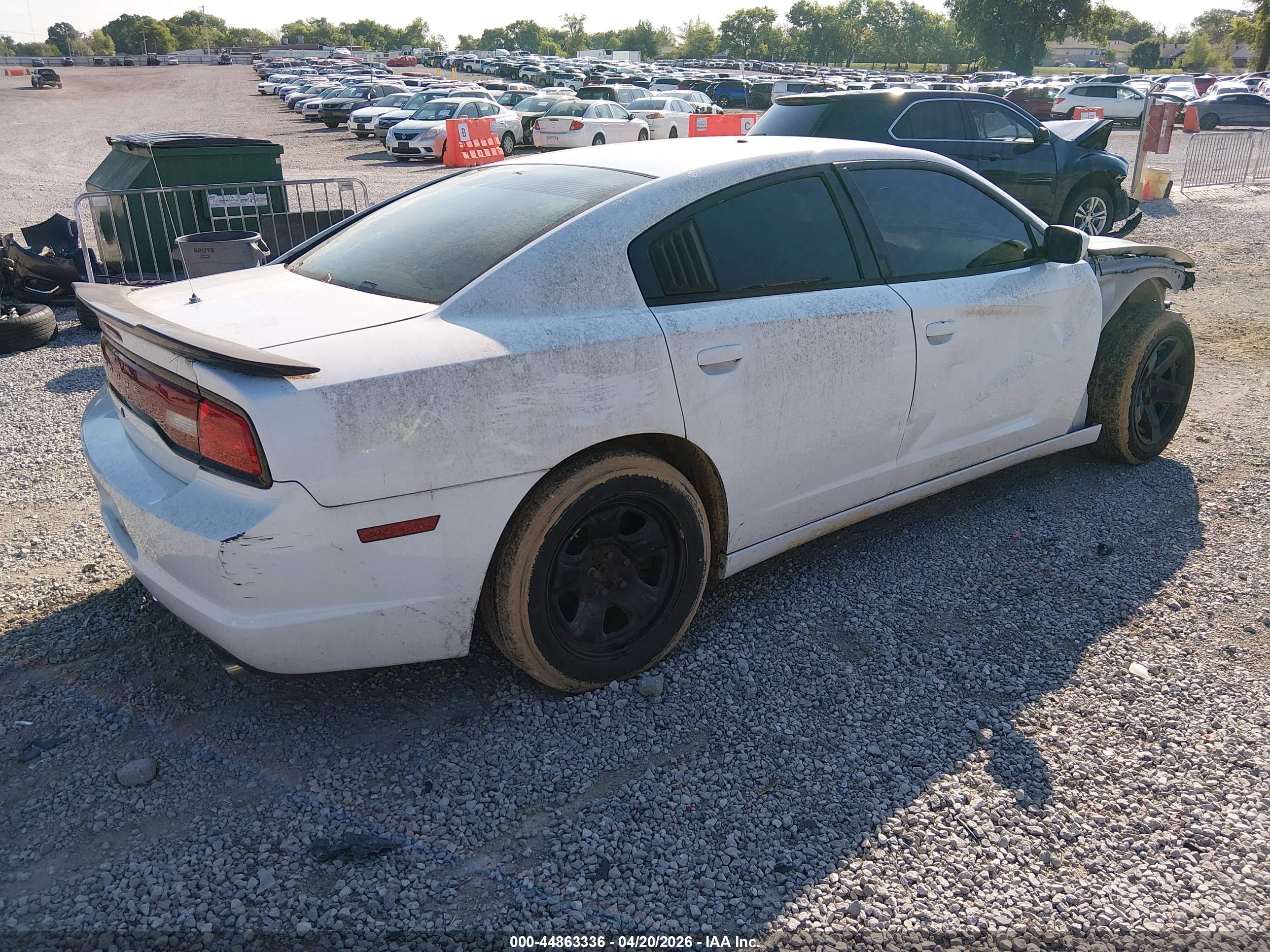 DODGE CHARGER image 4