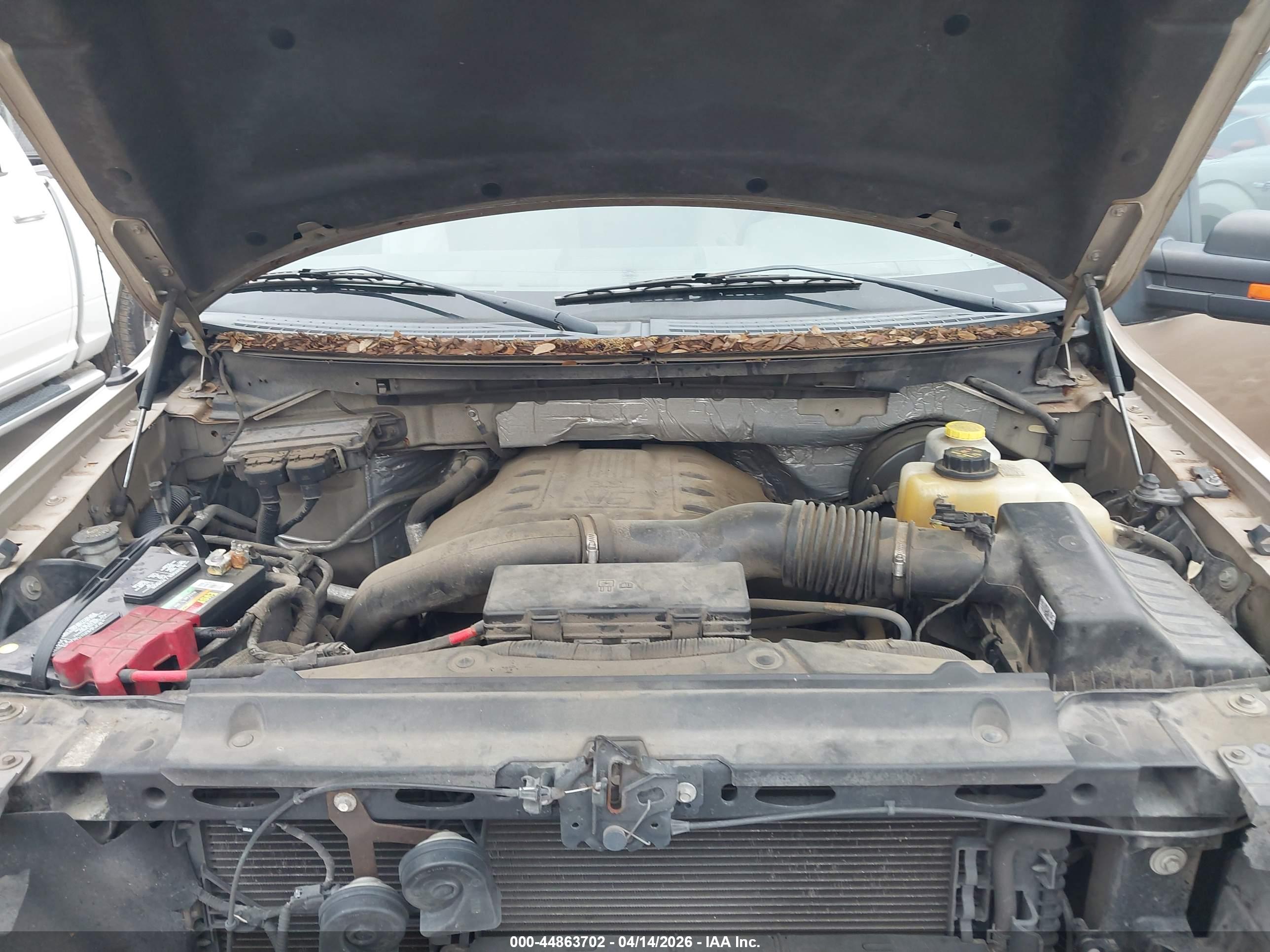 FORD F-150 image 10
