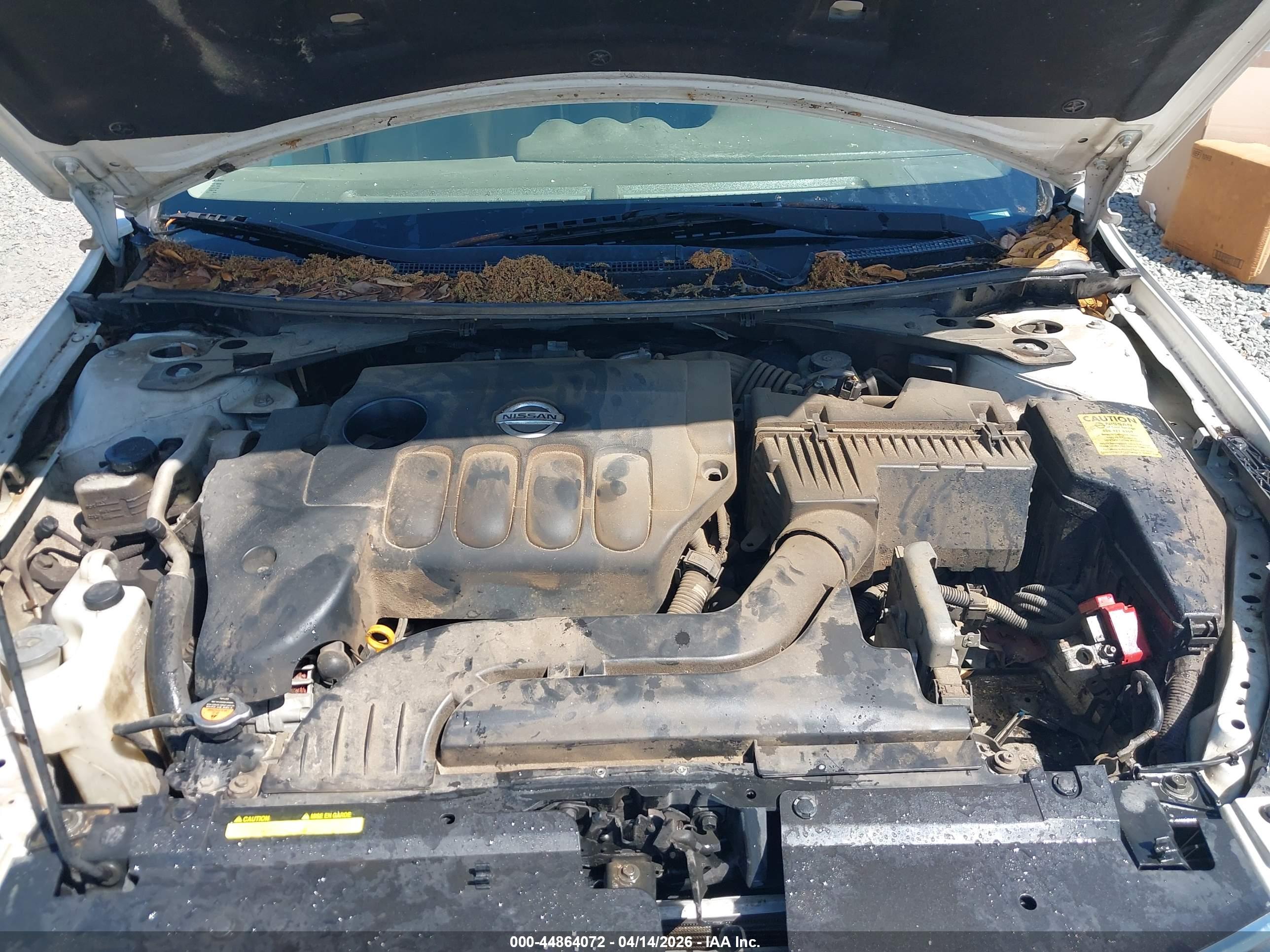 NISSAN ALTIMA image 10