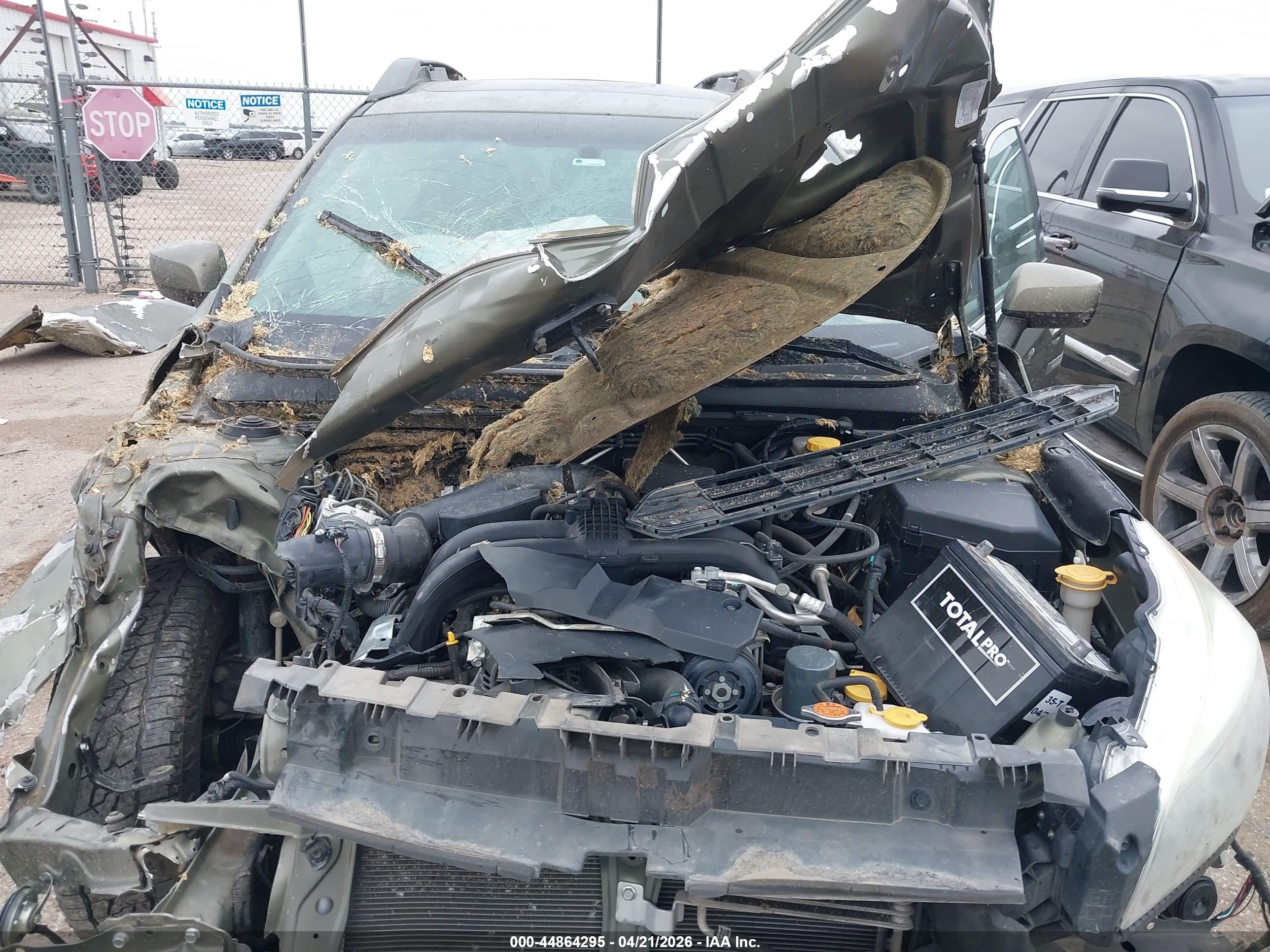 SUBARU OUTBACK image 10