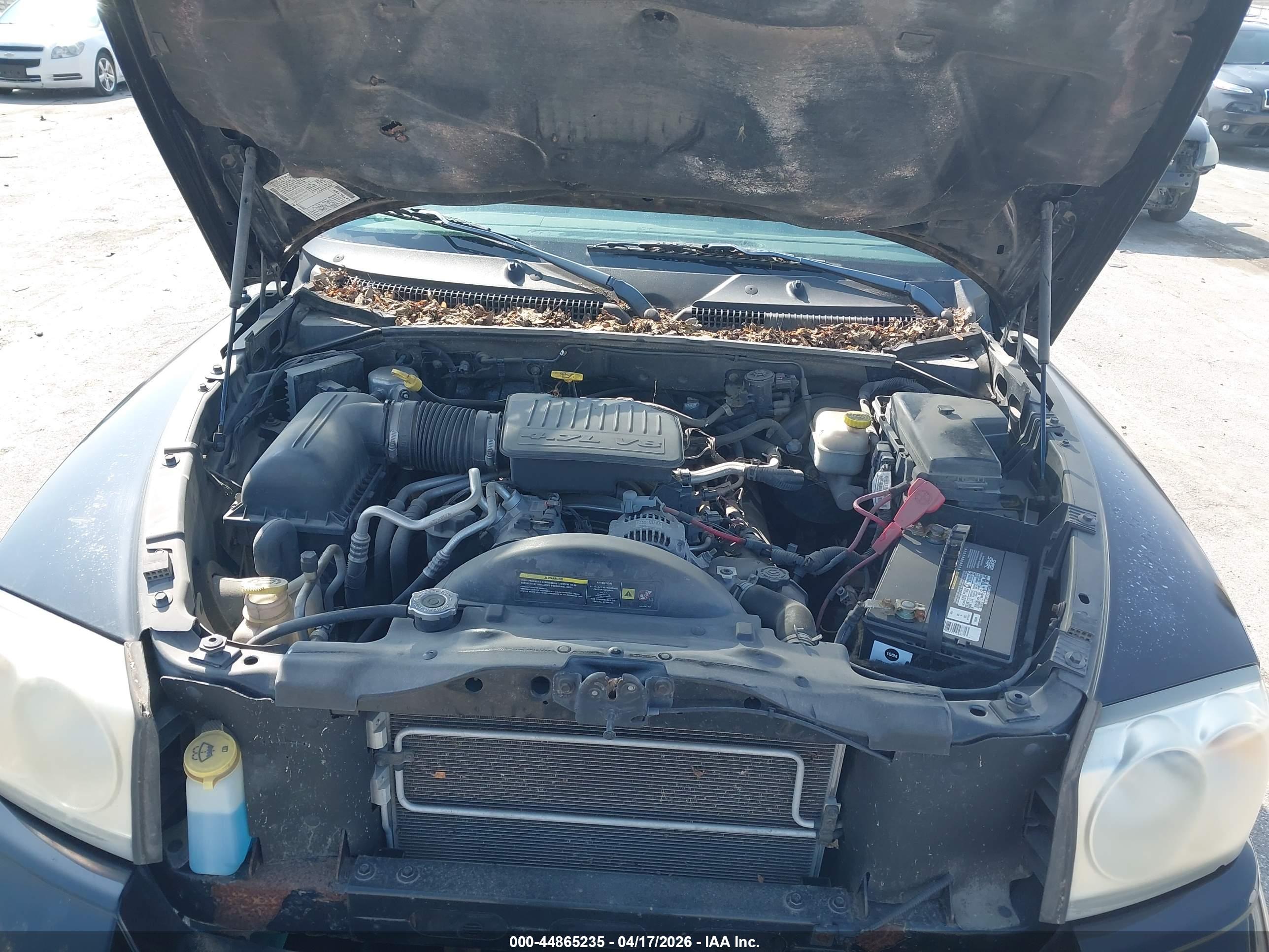 DODGE DAKOTA image 10