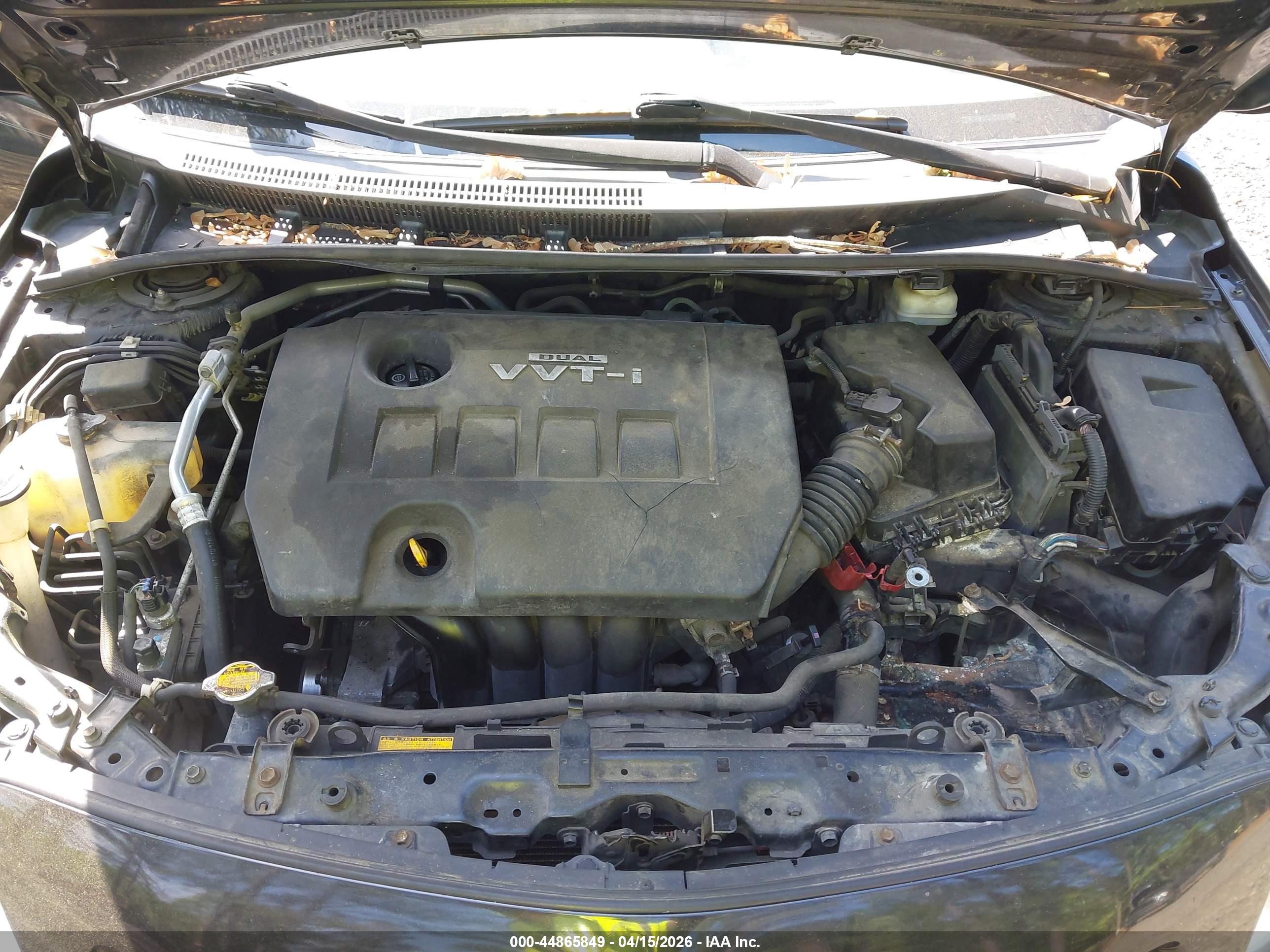 TOYOTA COROLLA image 10