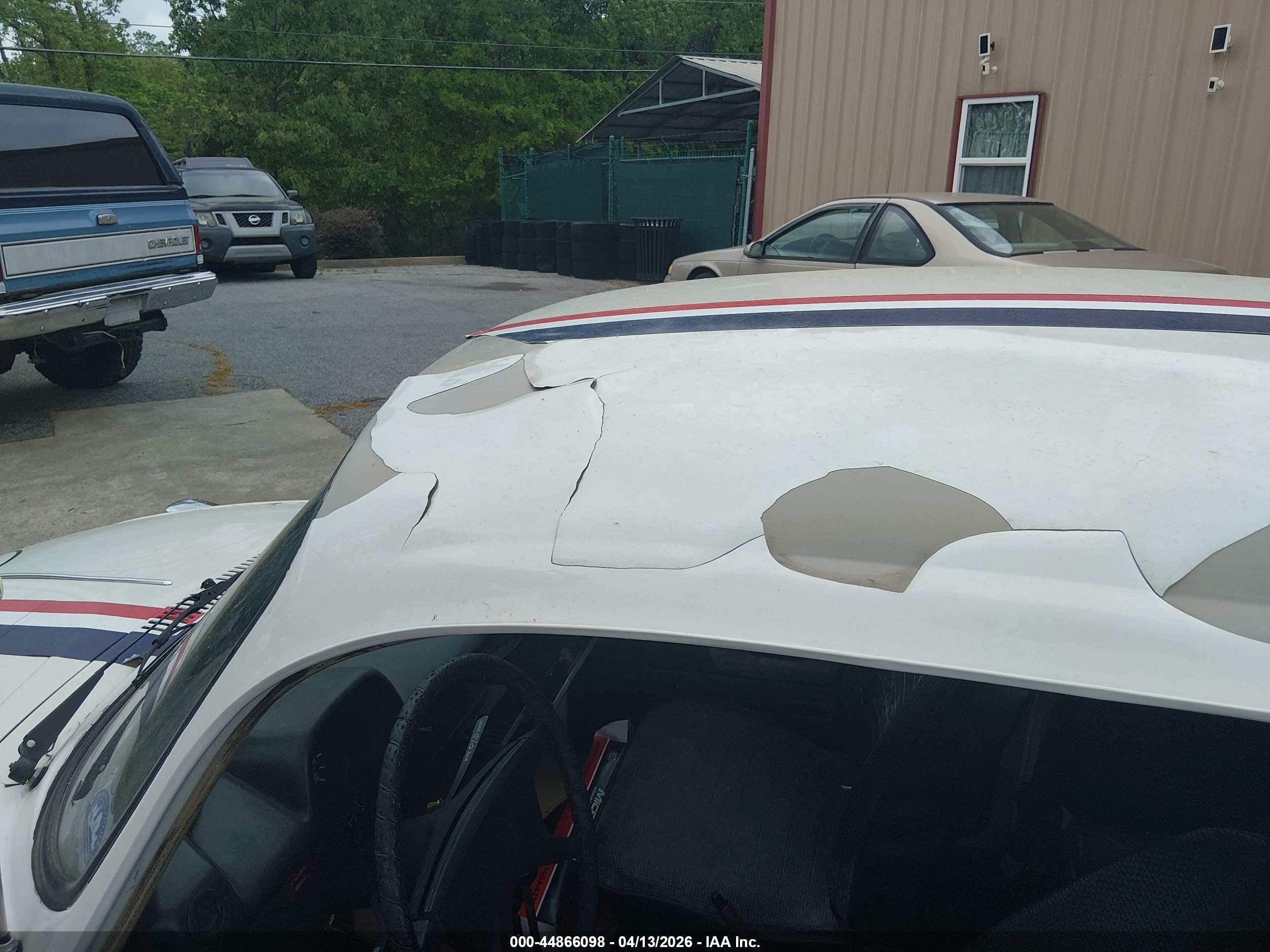 VOLKSWAGEN BEETLE image 6