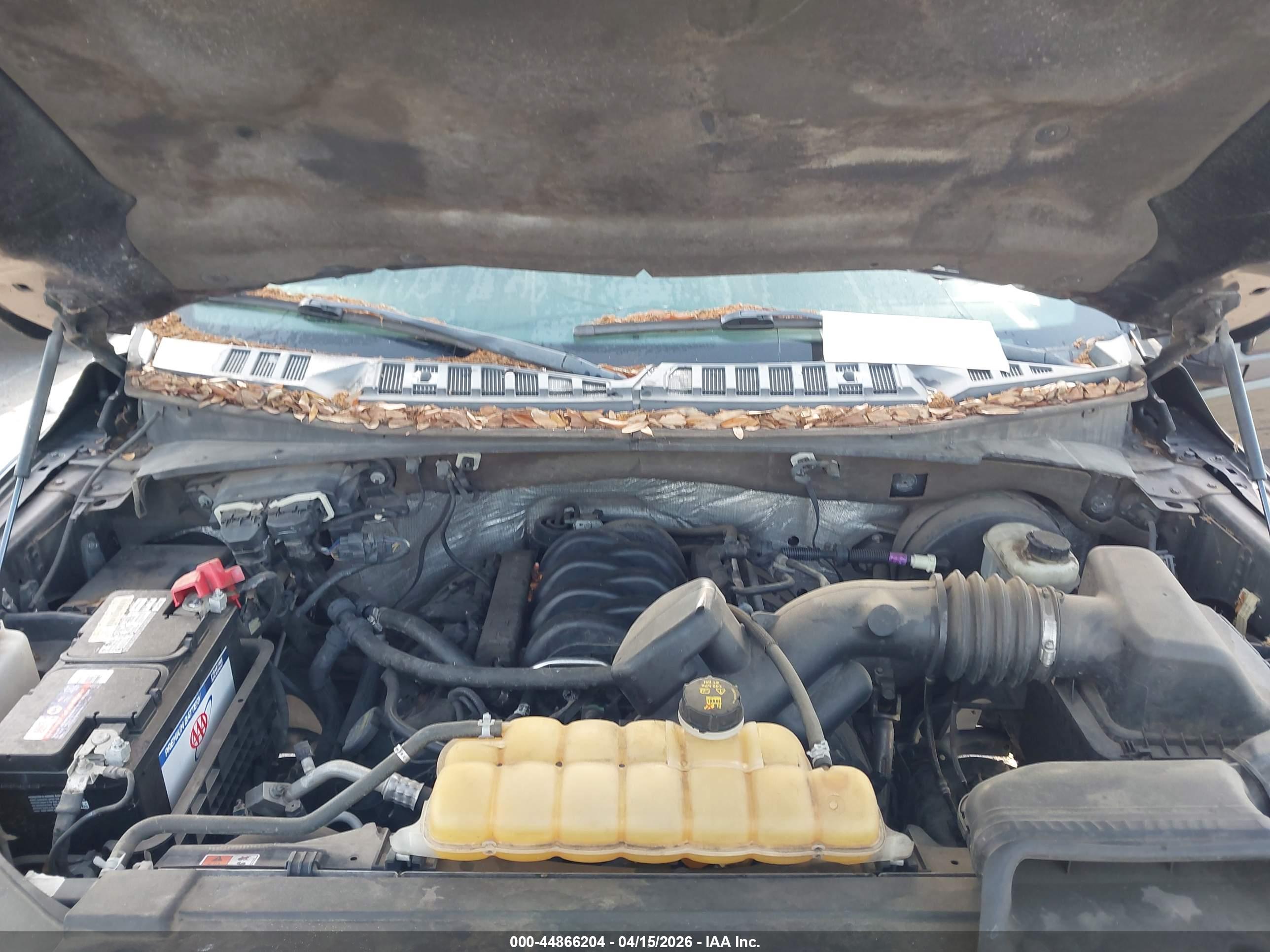 FORD F-150 image 10