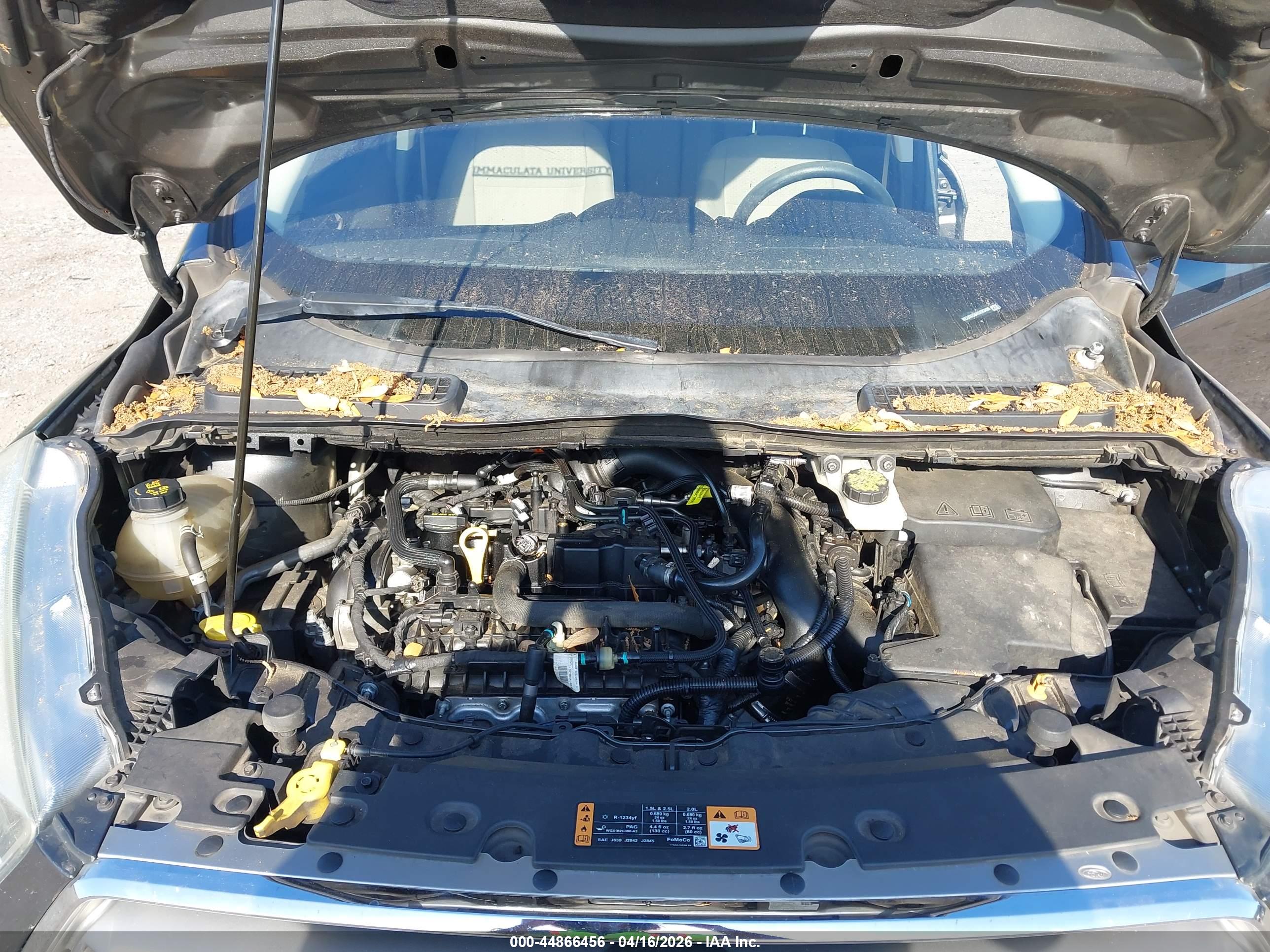 FORD ESCAPE image 10