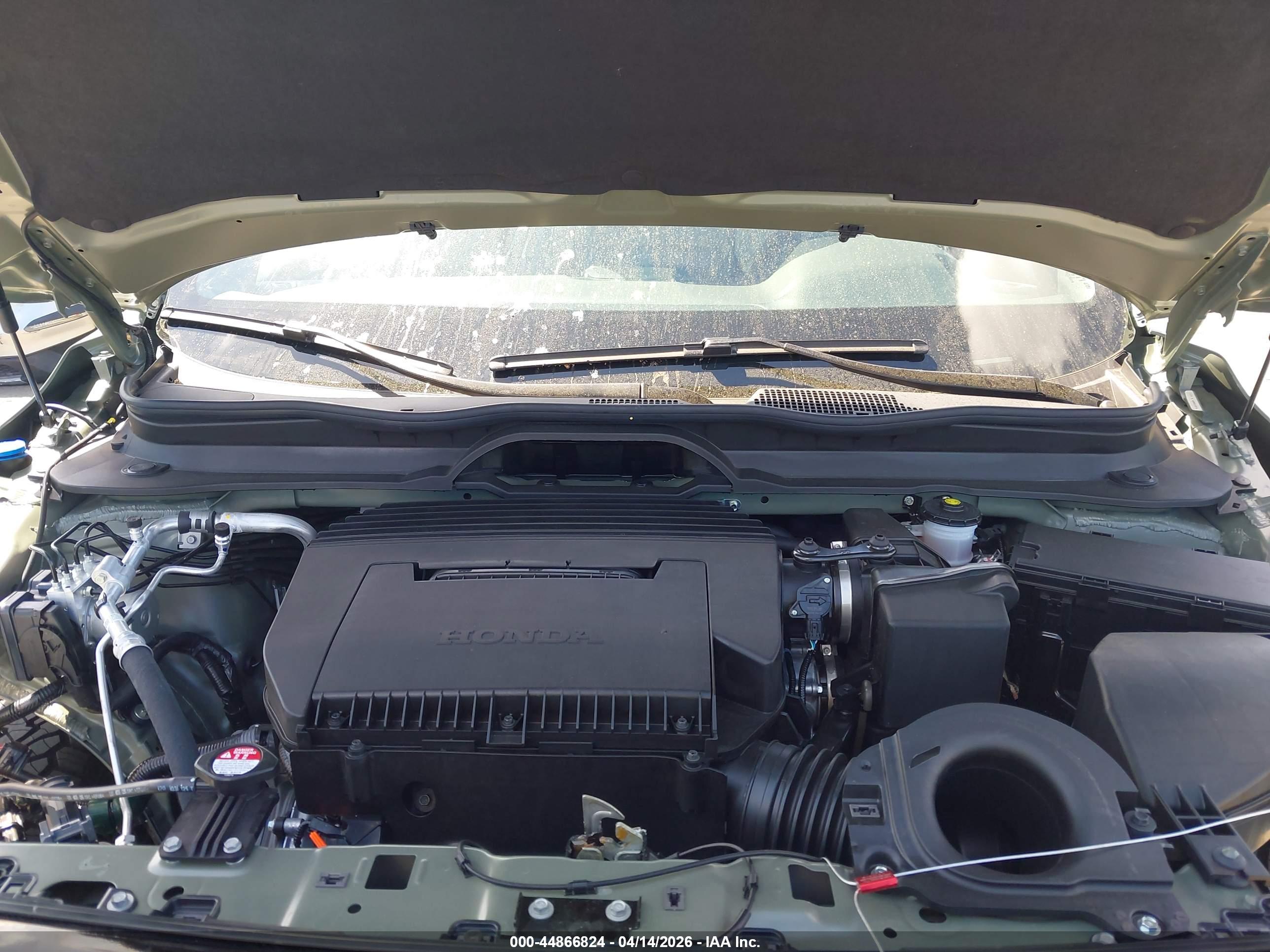 HONDA PASSPORT image 10