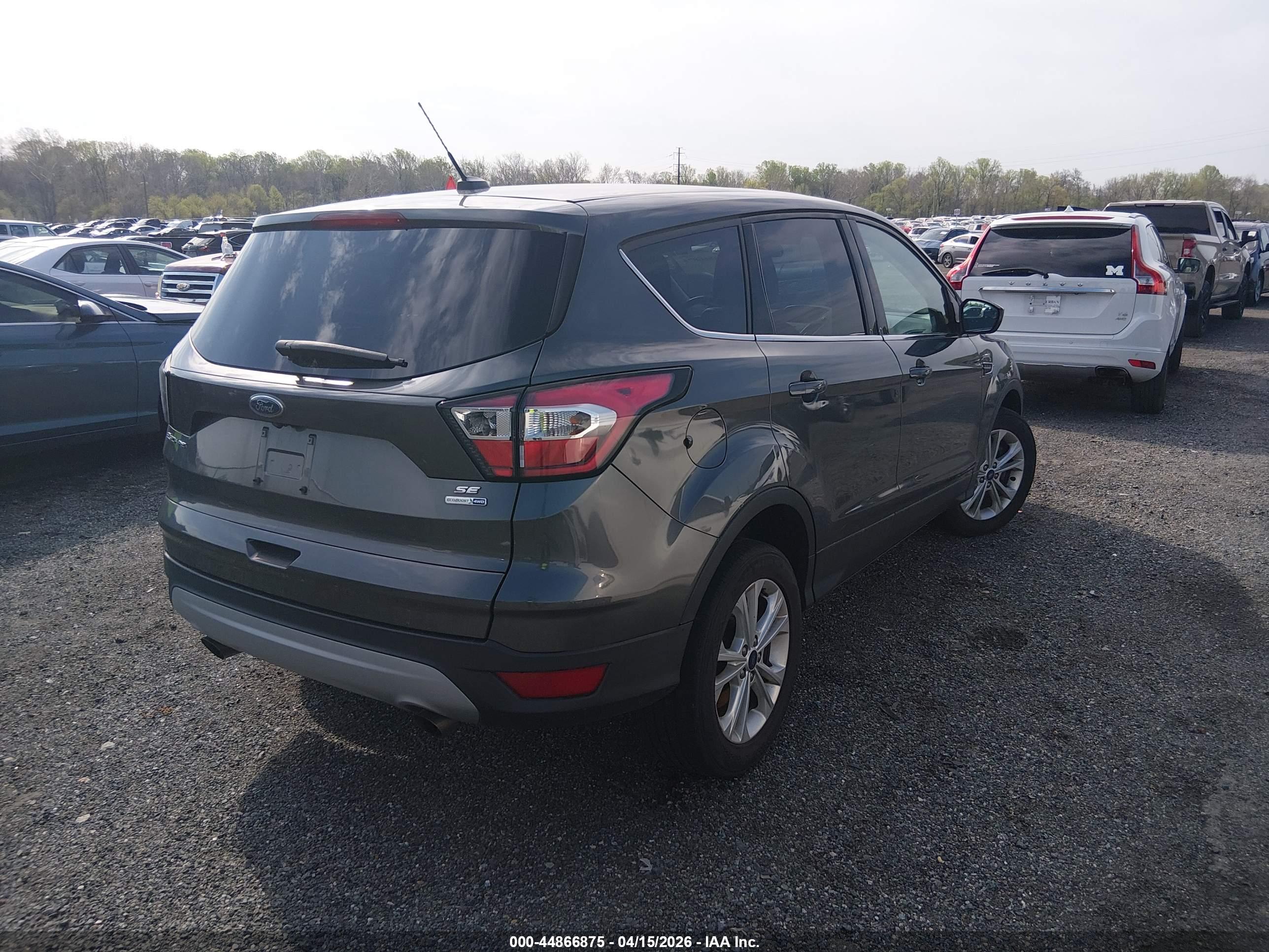 FORD ESCAPE image 4