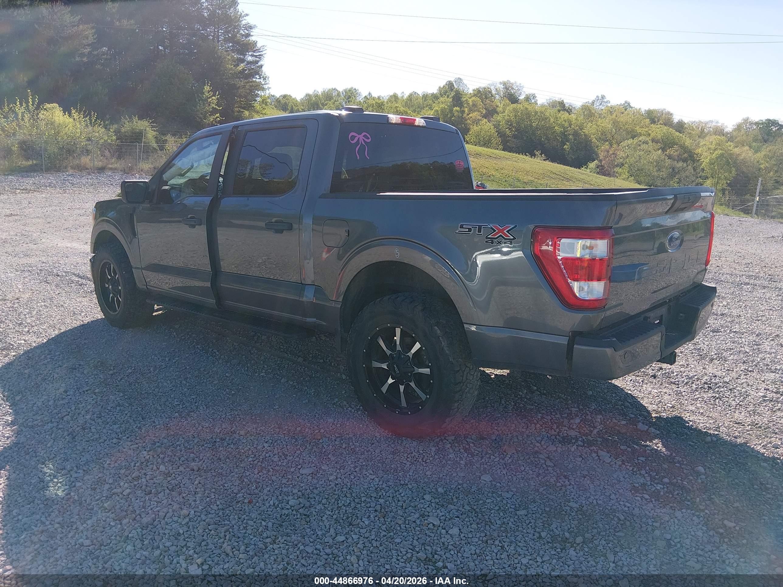 FORD F-150 image 3