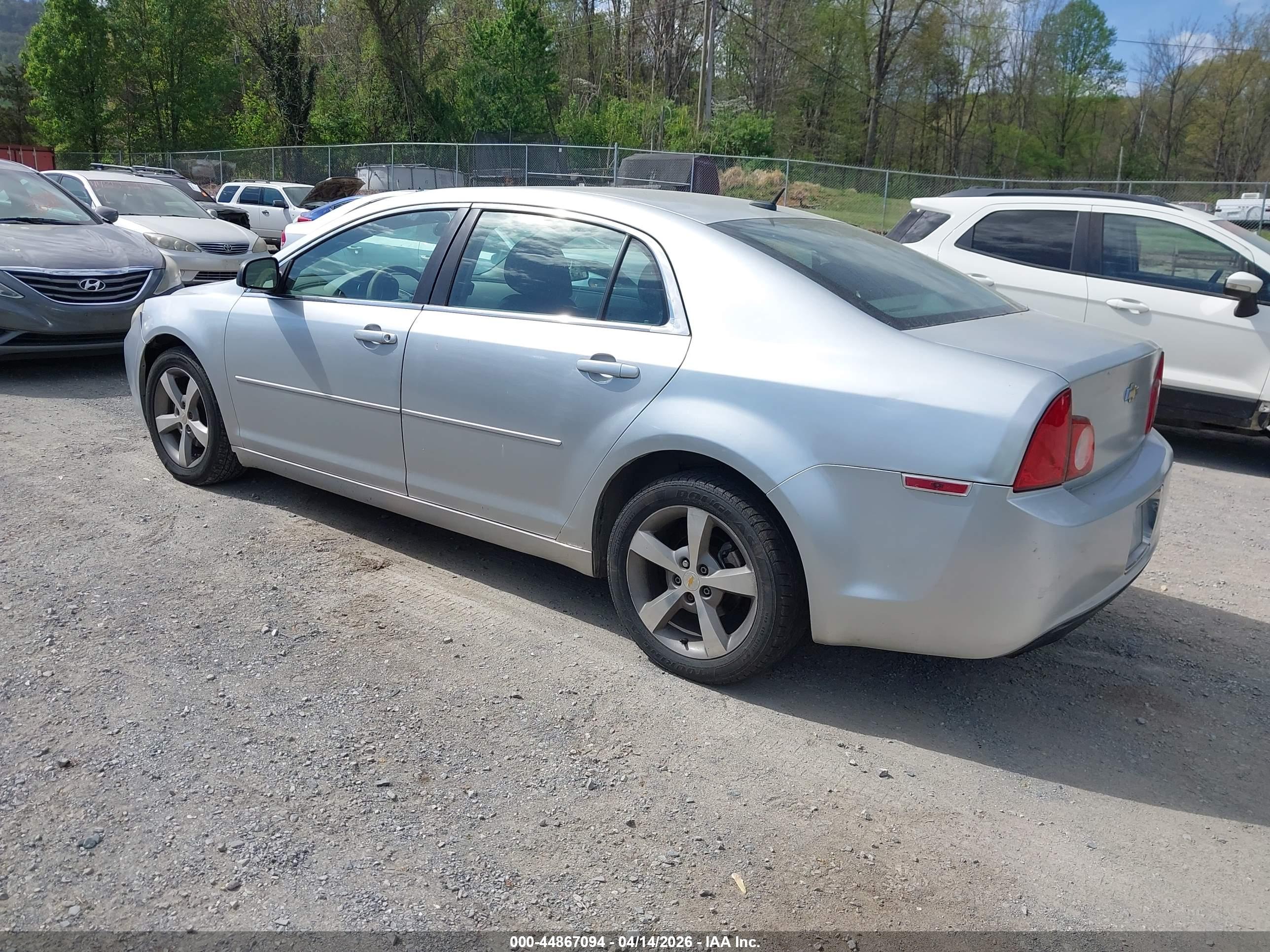 CHEVROLET MALIBU image 3