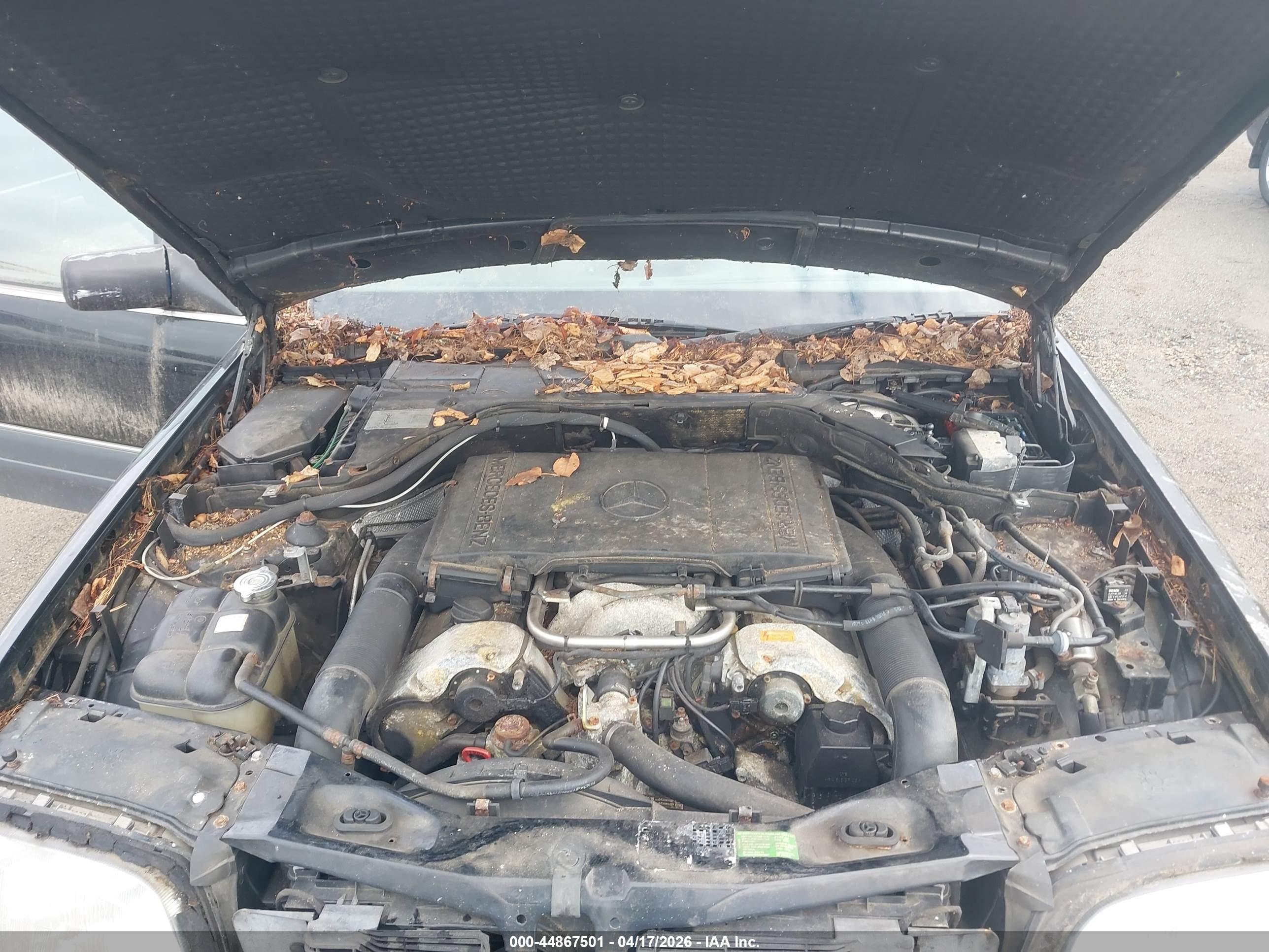 MERCEDES-BENZ S image 10