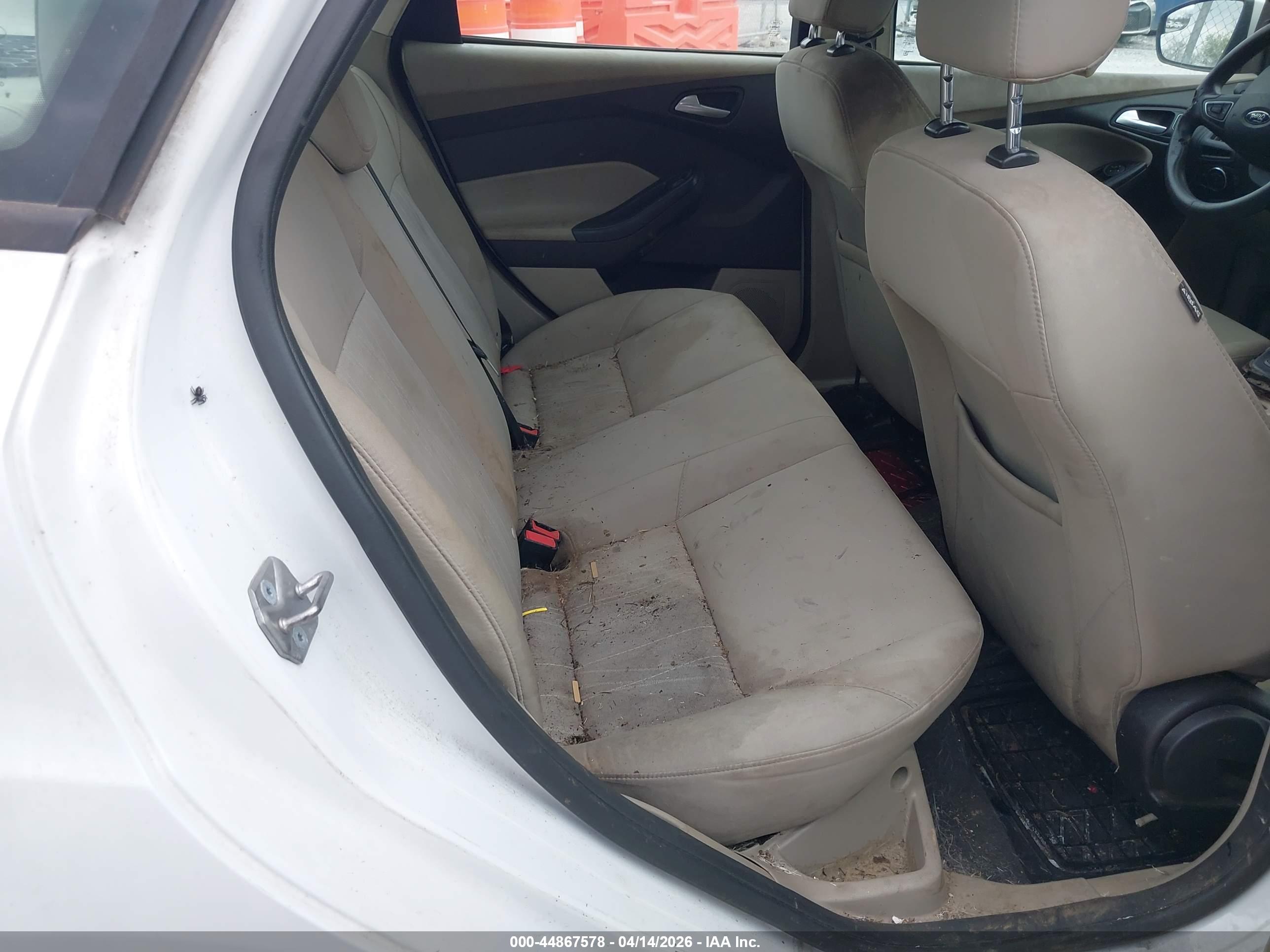 FORD FOCUS image 8