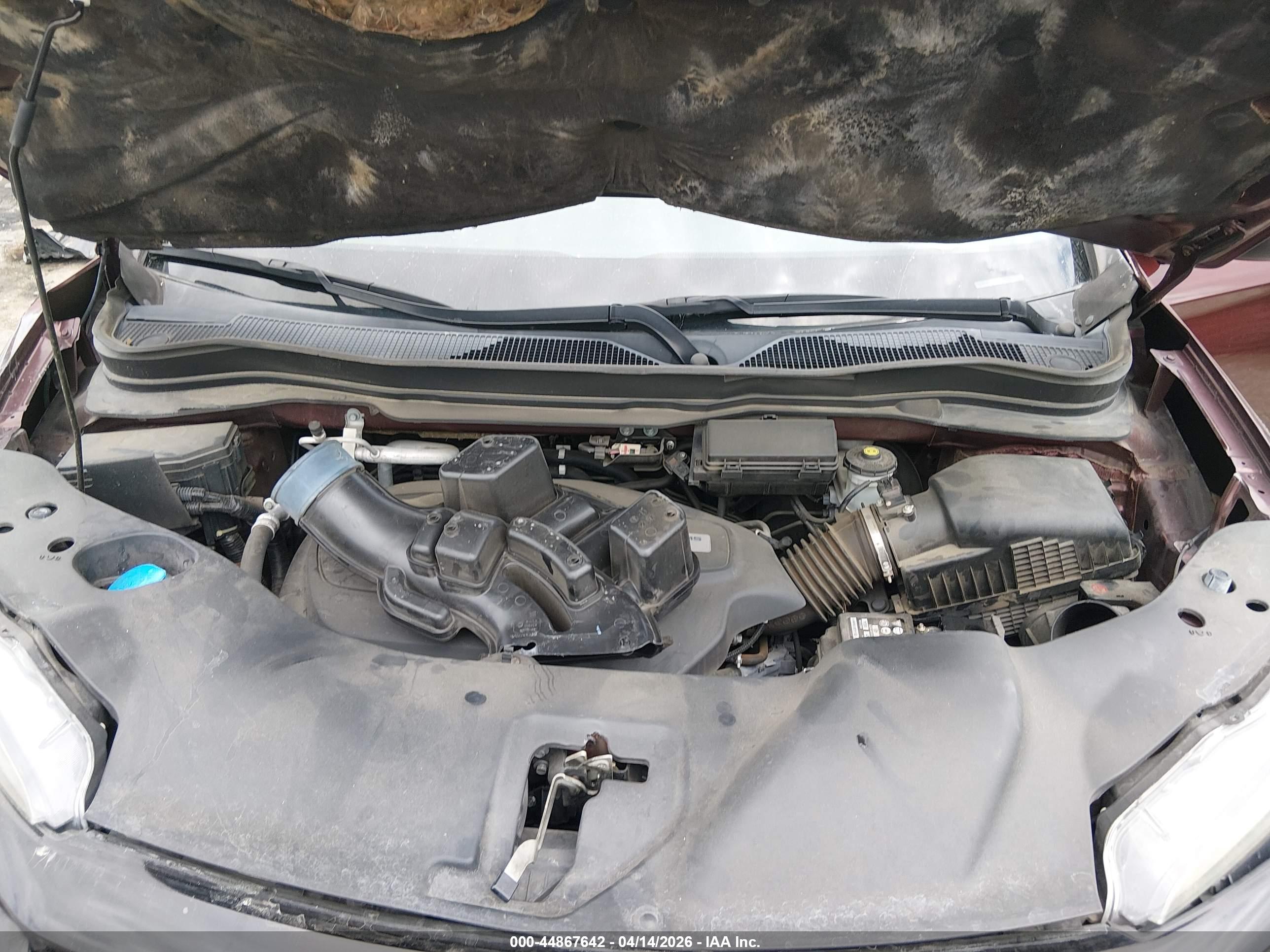 HONDA PASSPORT image 10
