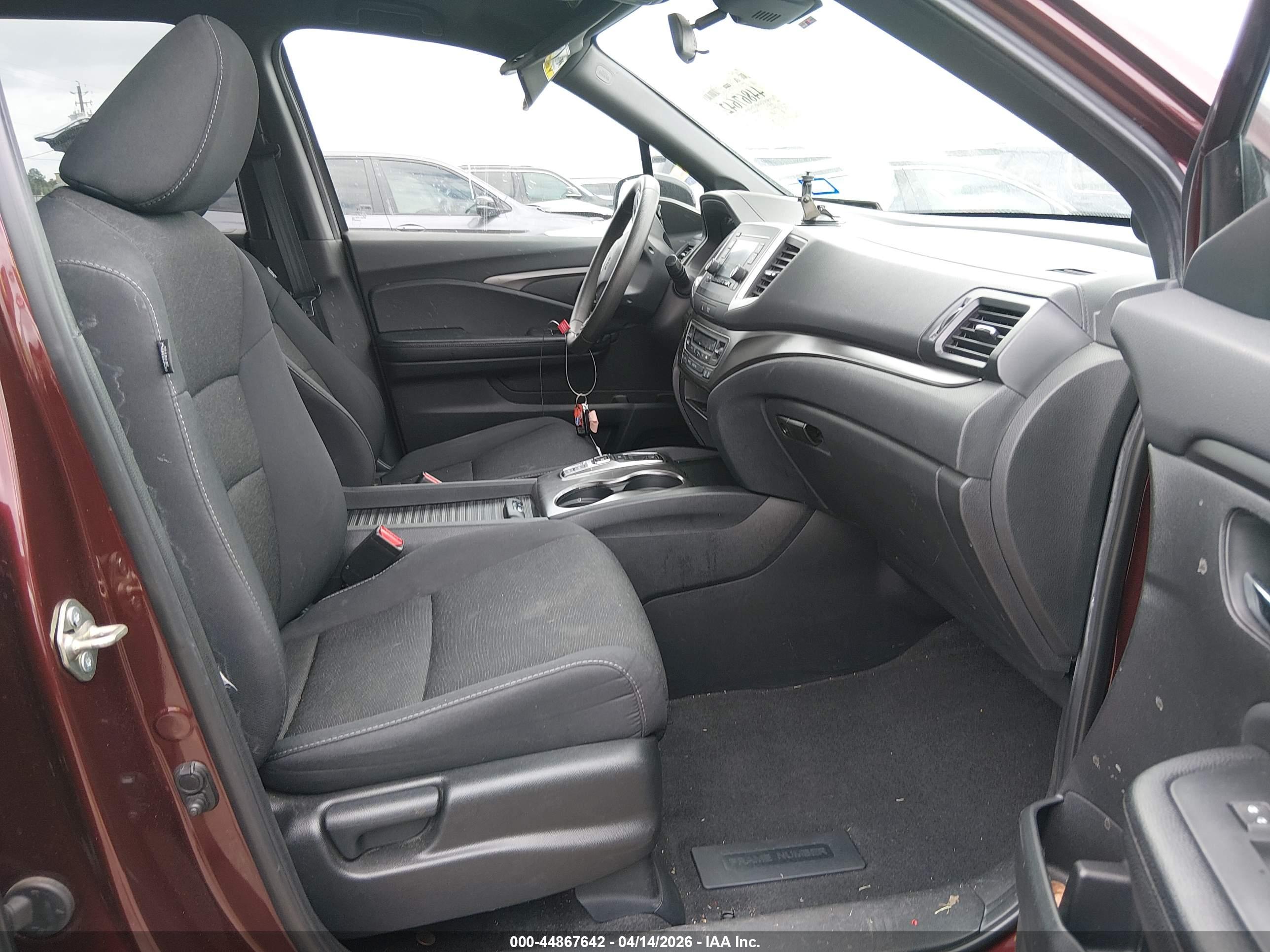 HONDA PASSPORT image 5