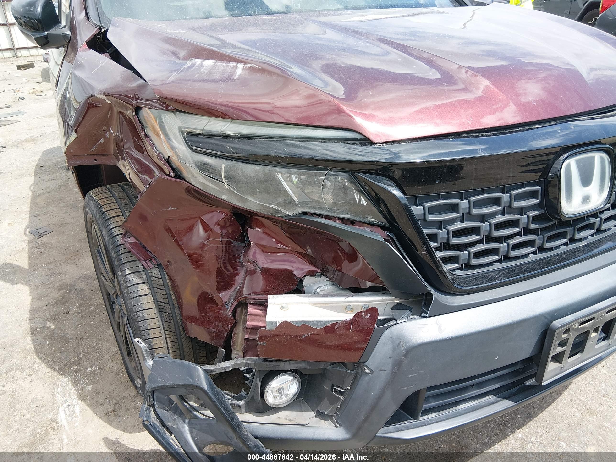 HONDA PASSPORT image 6