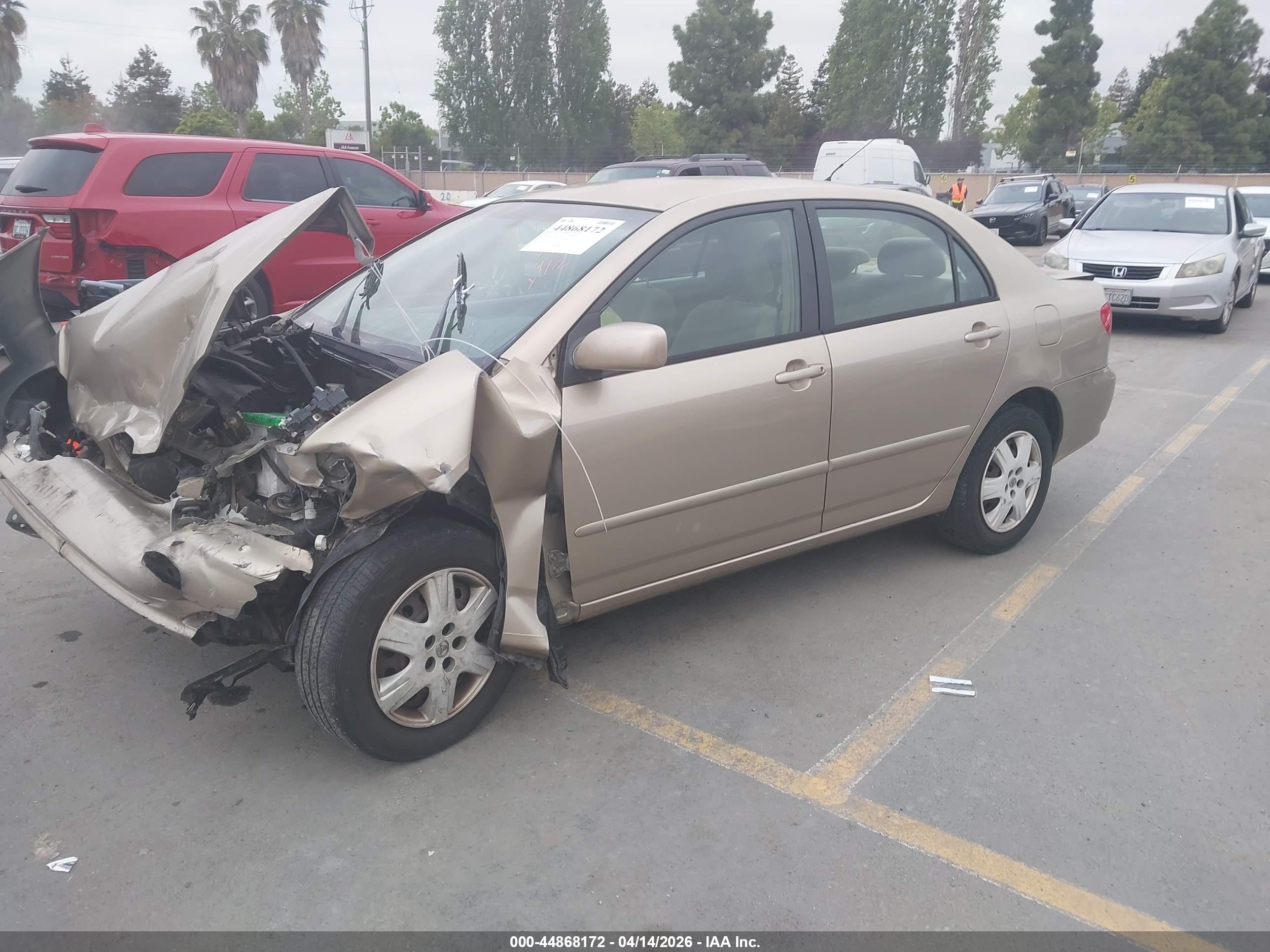 TOYOTA COROLLA image 2