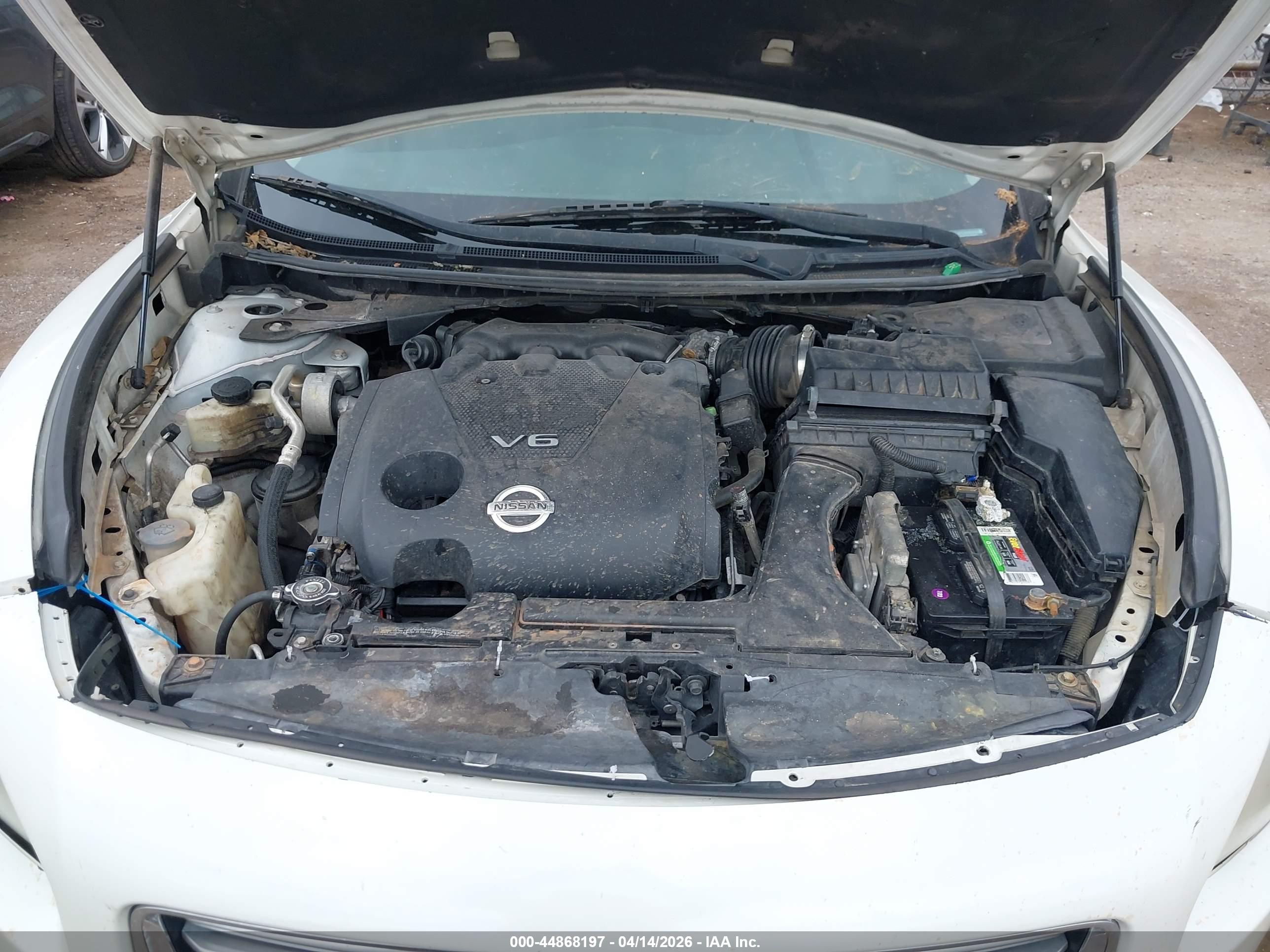 NISSAN MAXIMA image 10