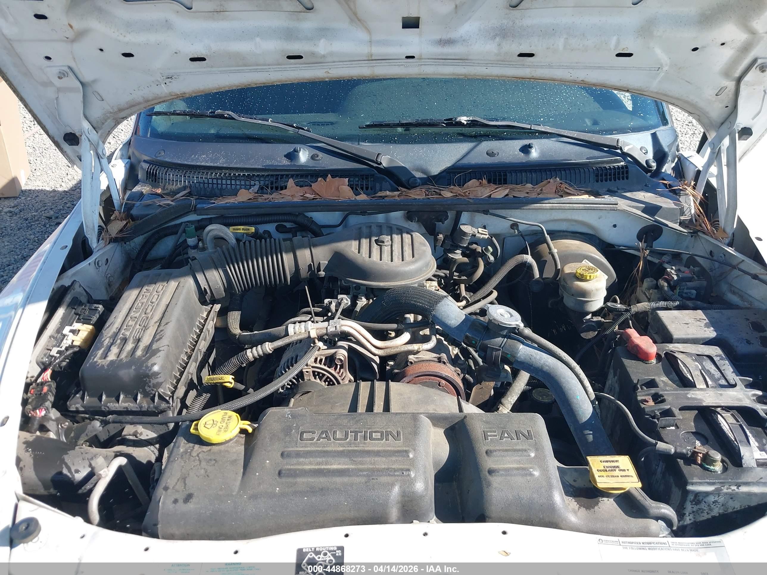 DODGE DAKOTA image 10