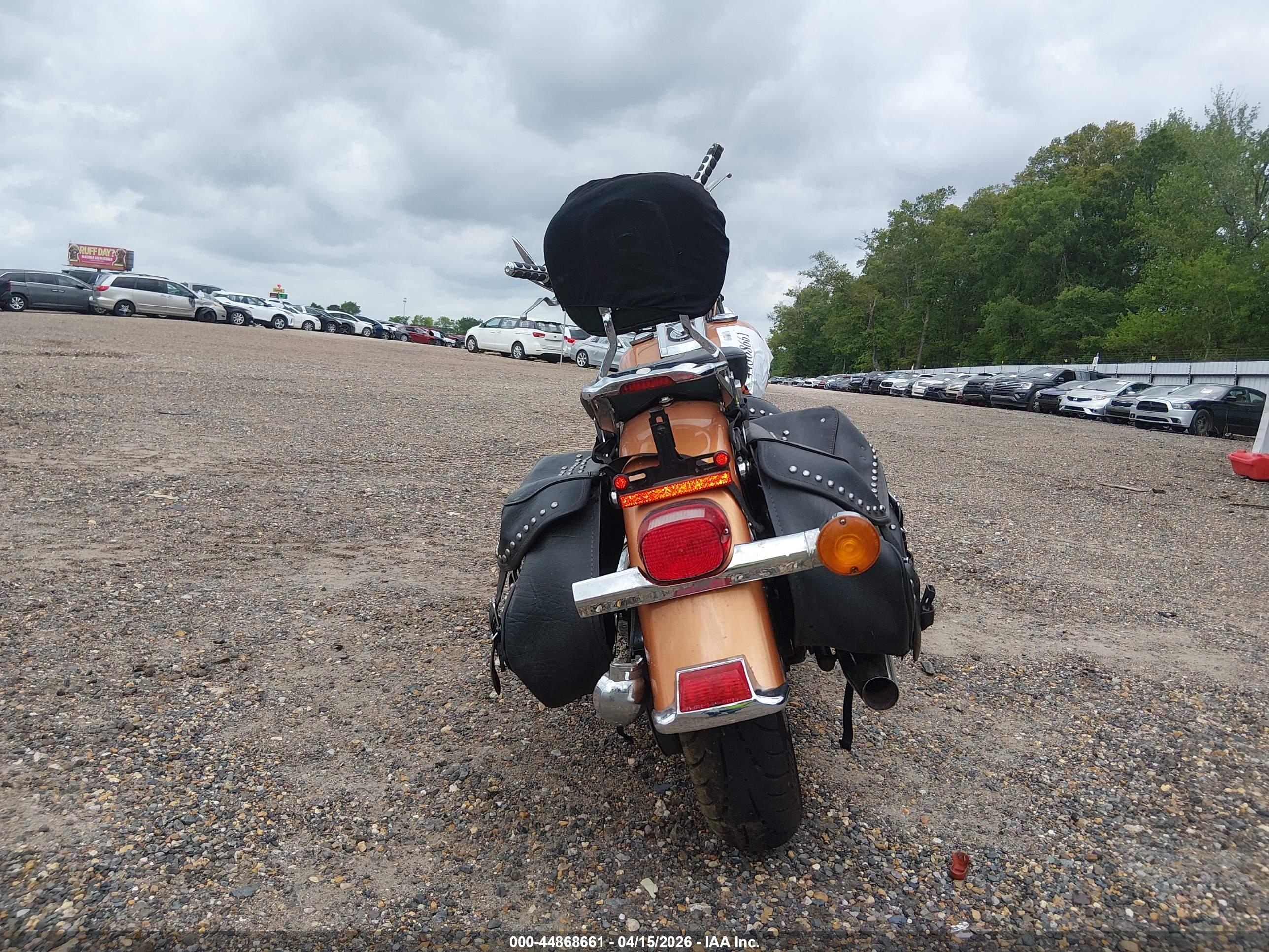 HARLEY-DAVIDSON FLSTC image 6