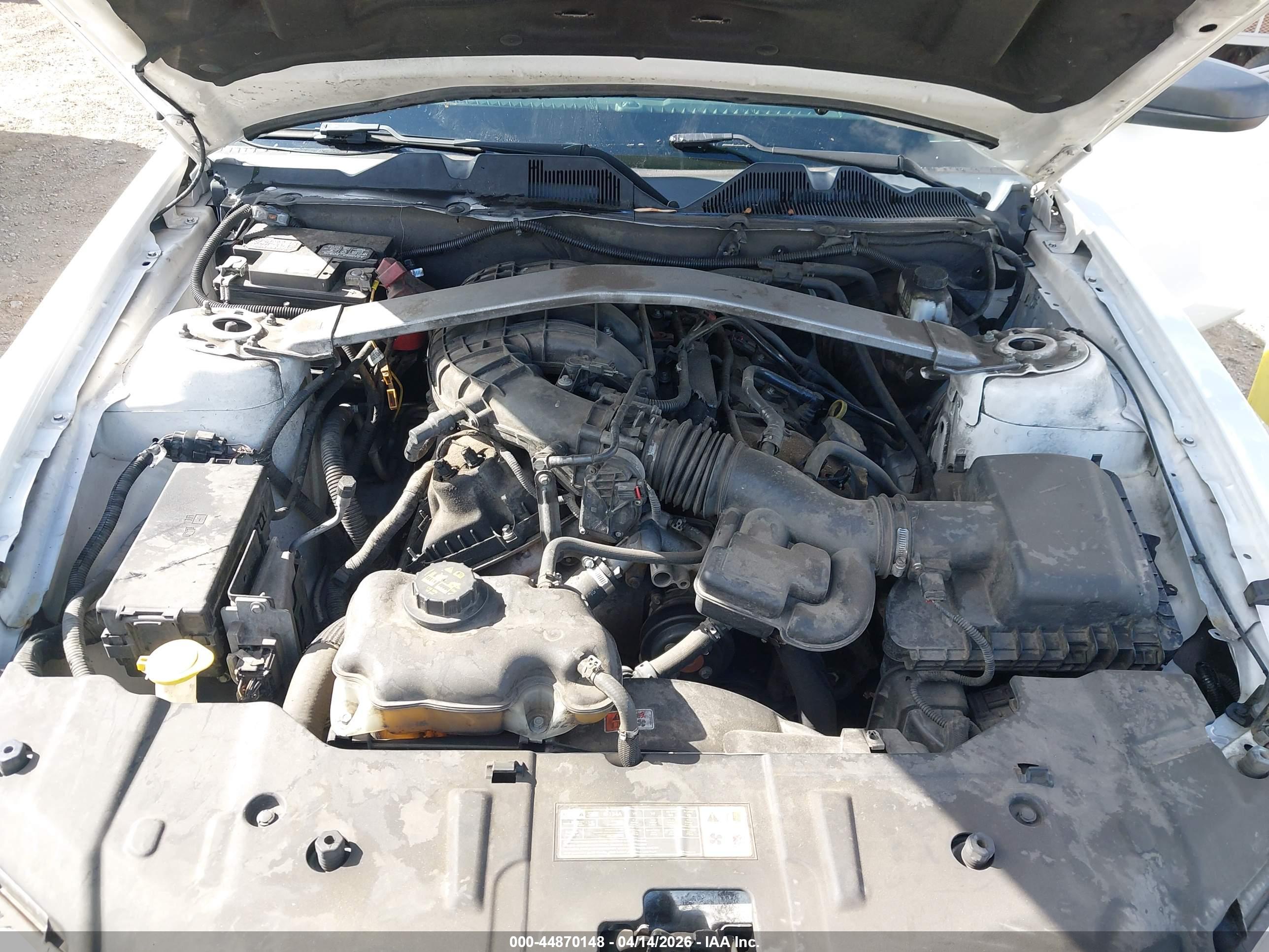 FORD MUSTANG image 10
