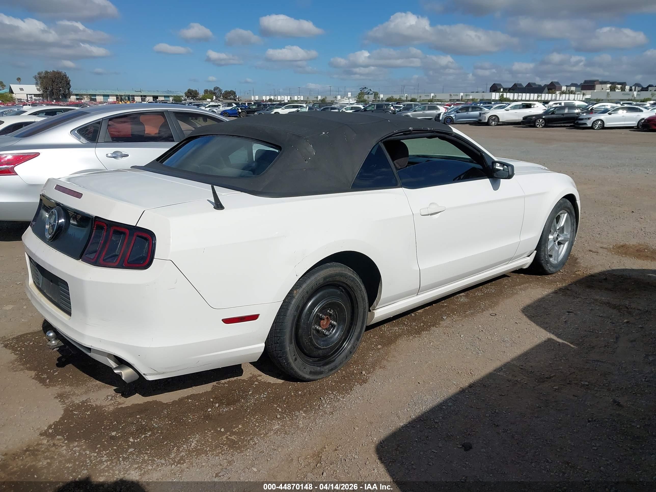 FORD MUSTANG image 4