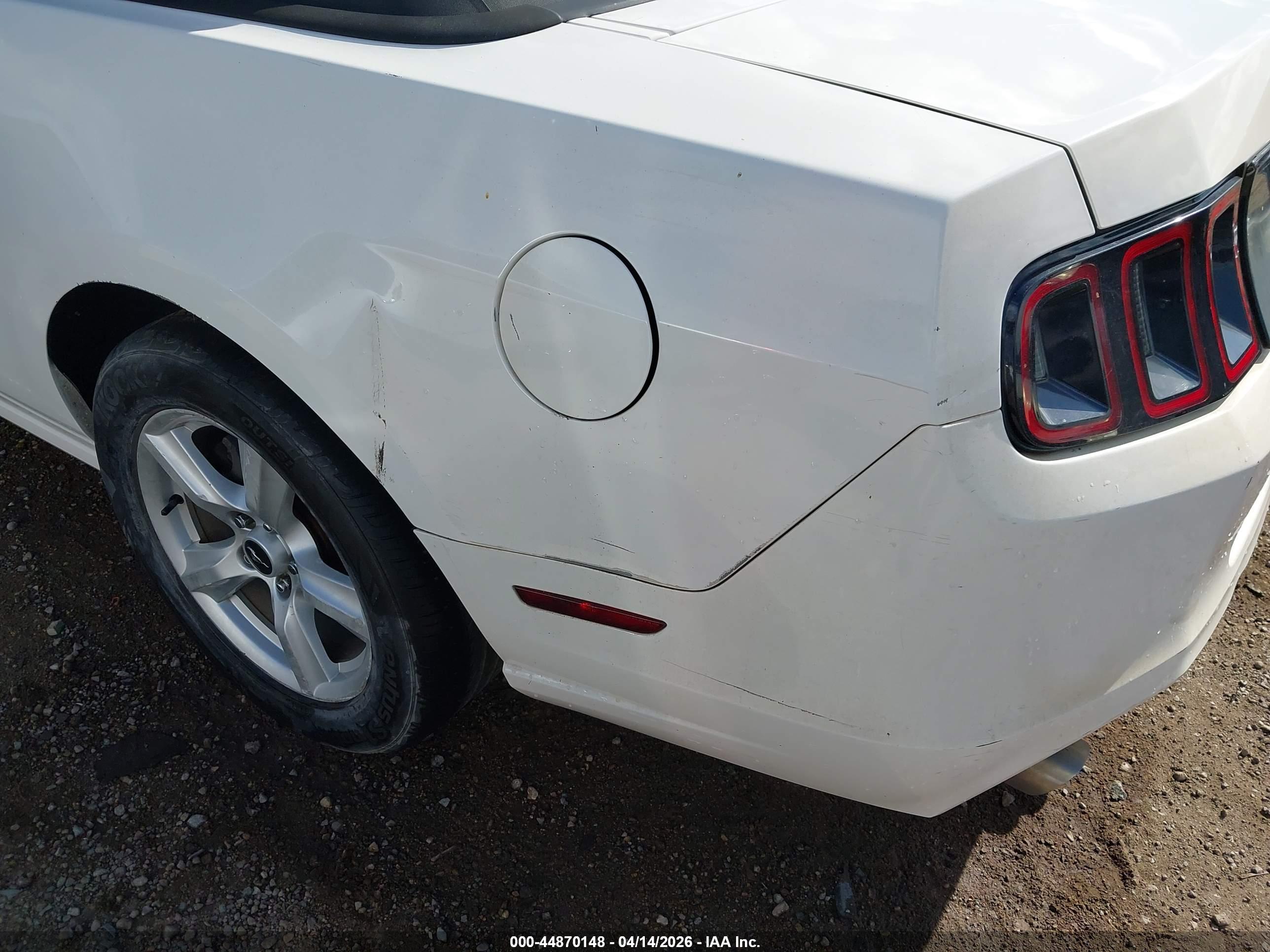 FORD MUSTANG image 6