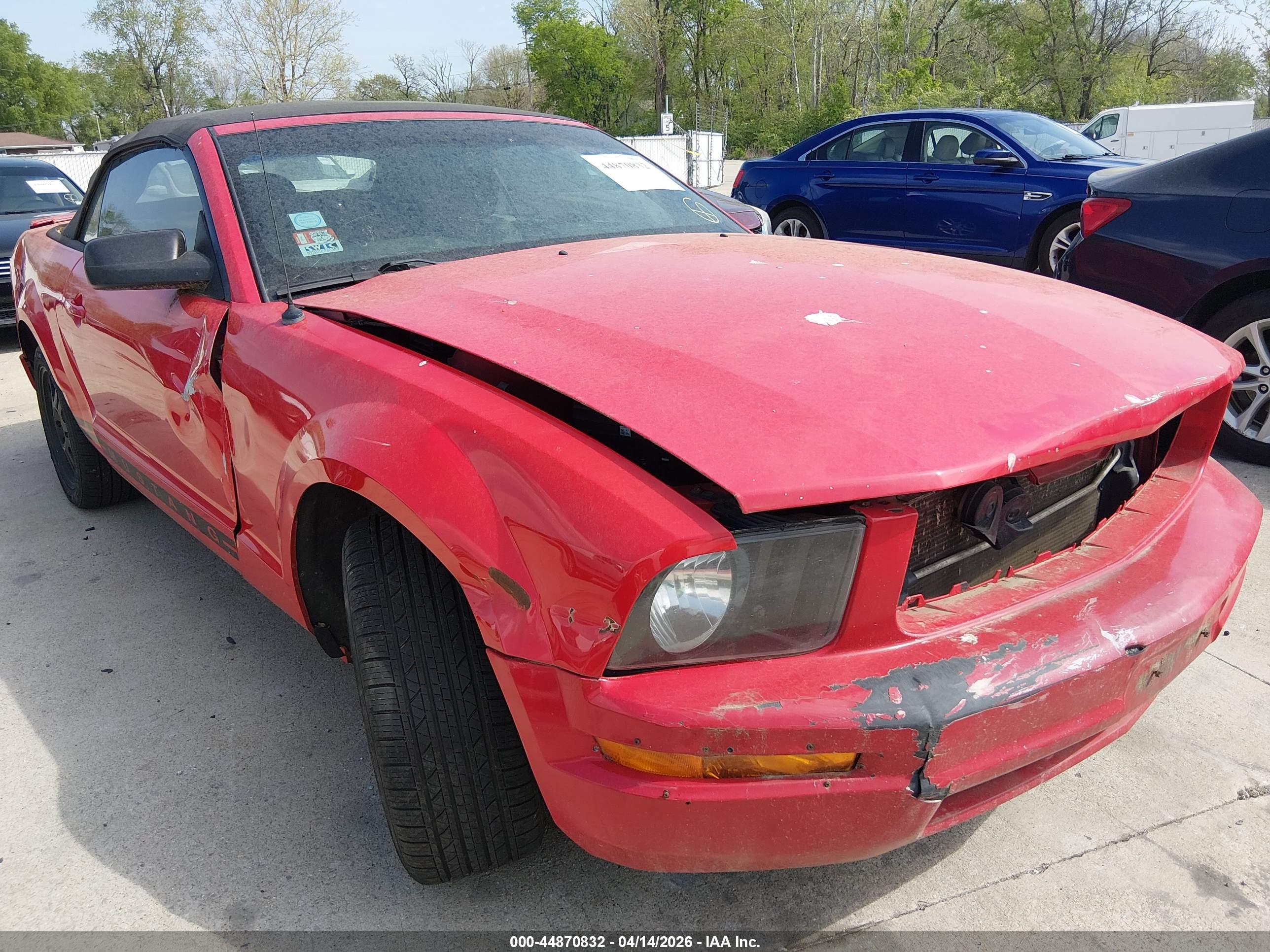 FORD MUSTANG image 6