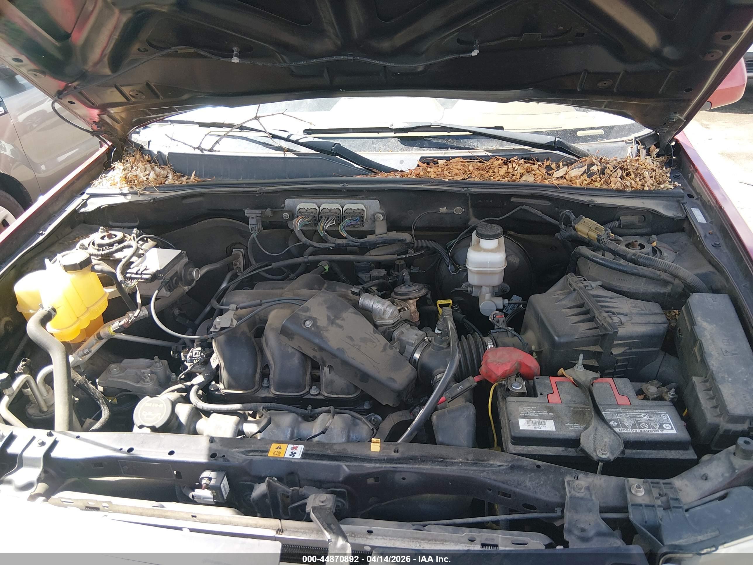 FORD ESCAPE image 10