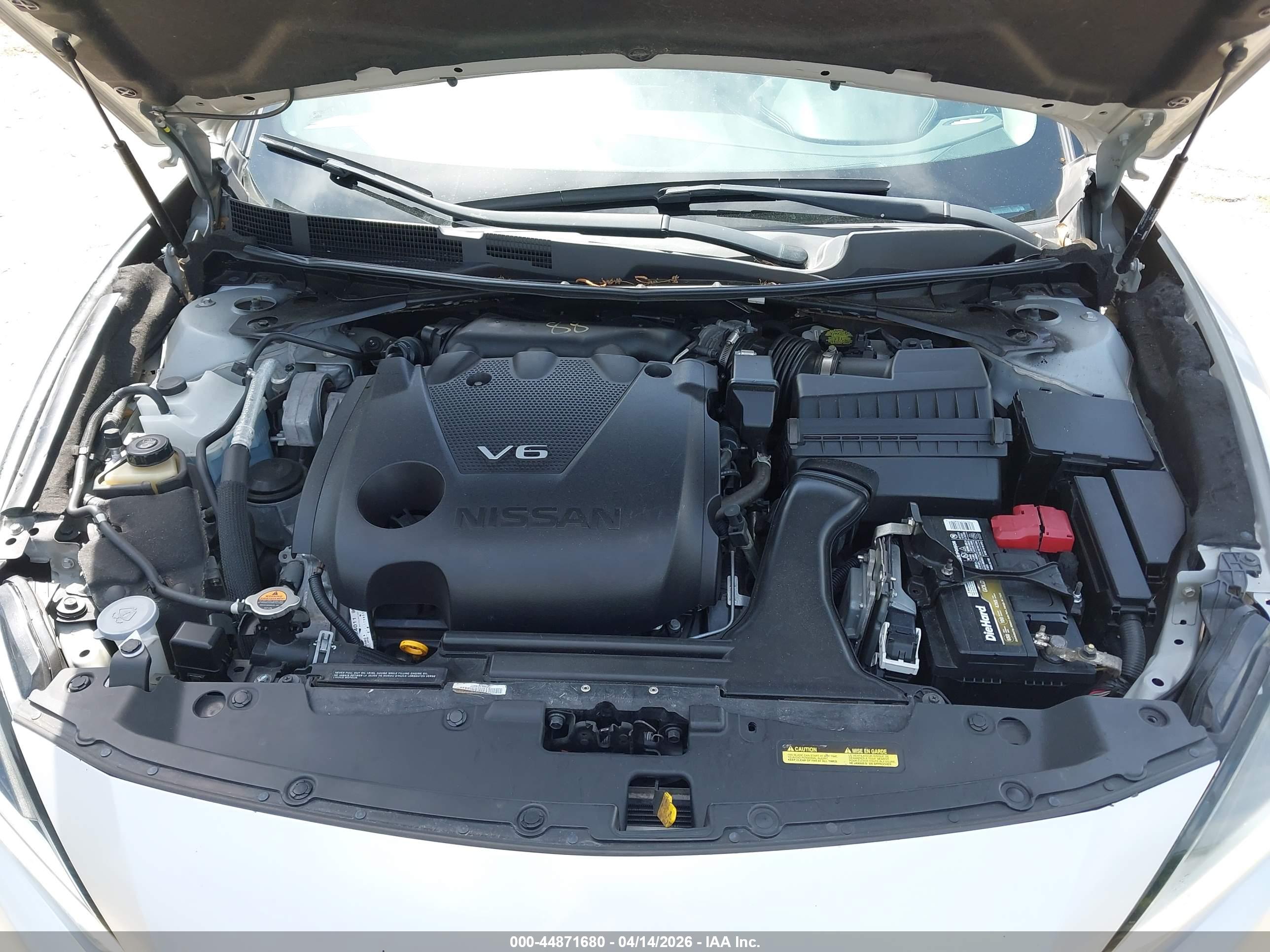 NISSAN MAXIMA image 10