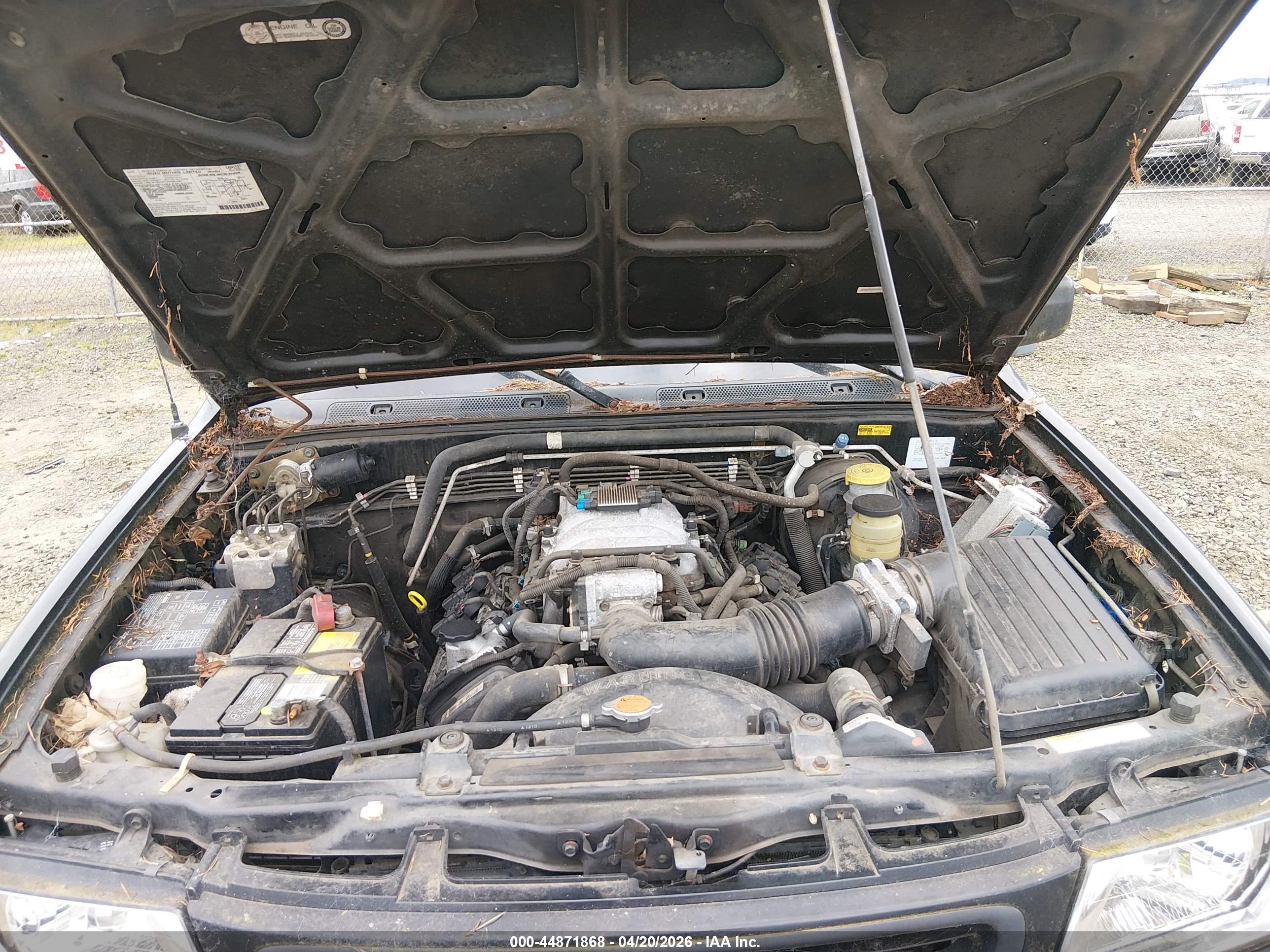HONDA PASSPORT image 10