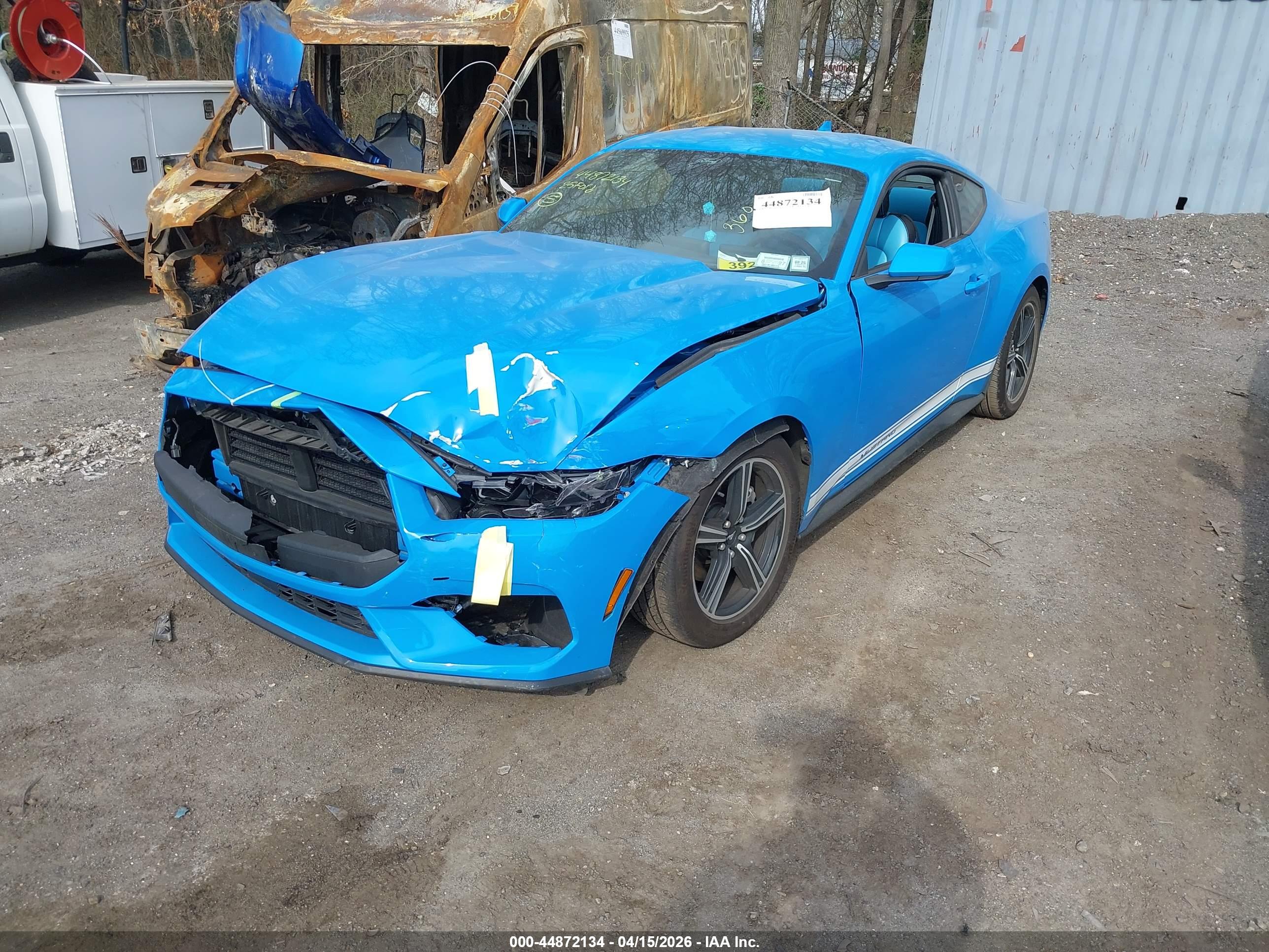 FORD MUSTANG image 2