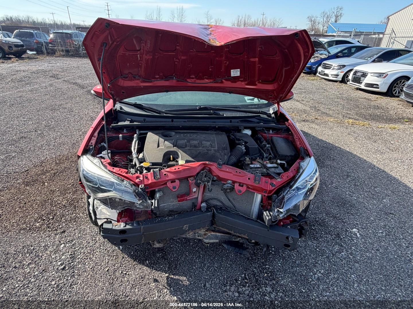 TOYOTA COROLLA image 10