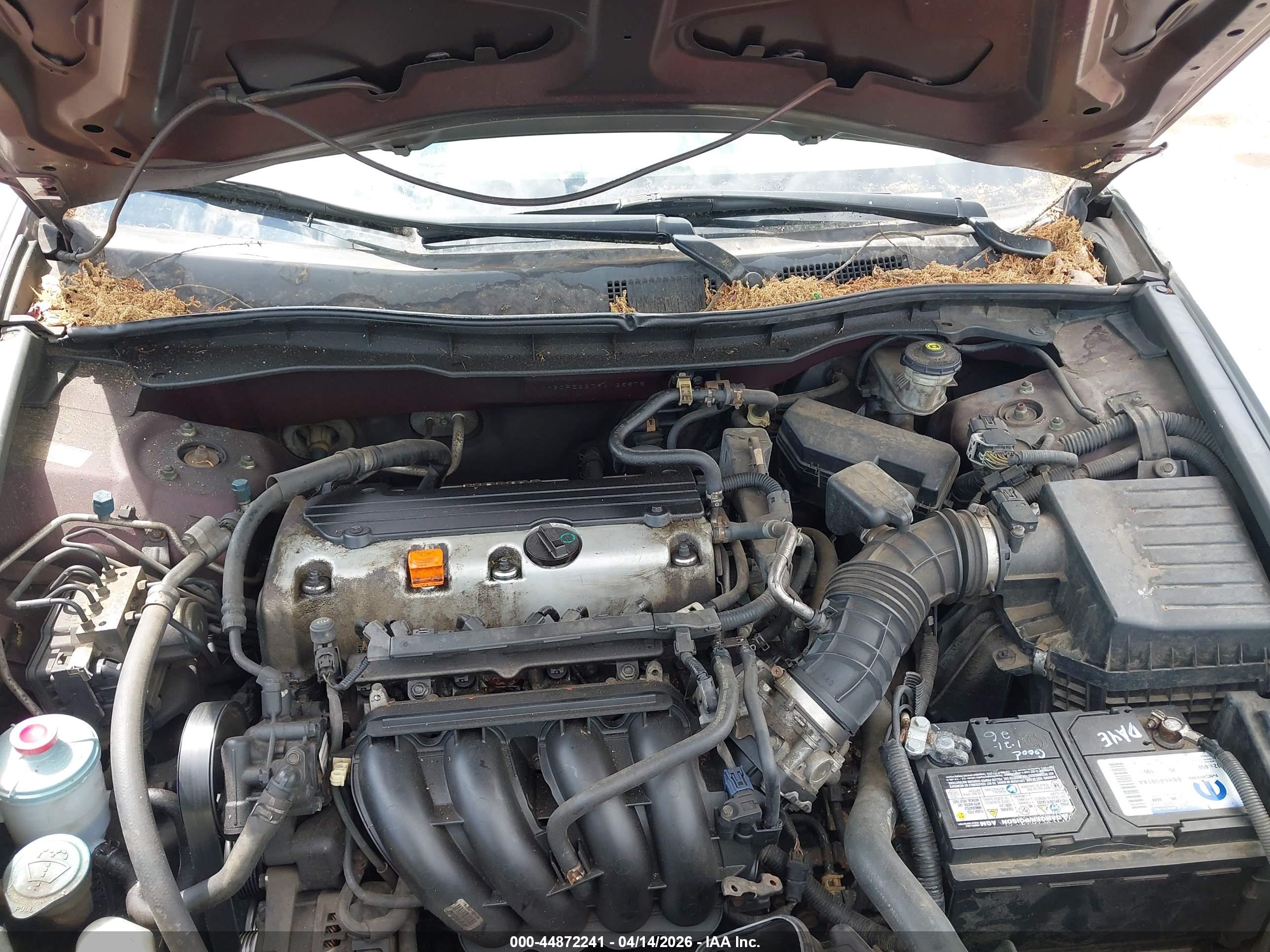 HONDA ACCORD image 10
