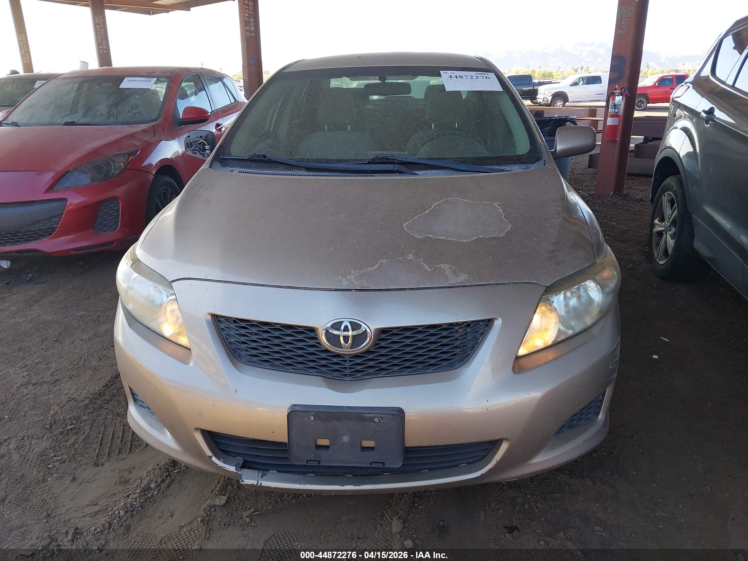 TOYOTA COROLLA image 6