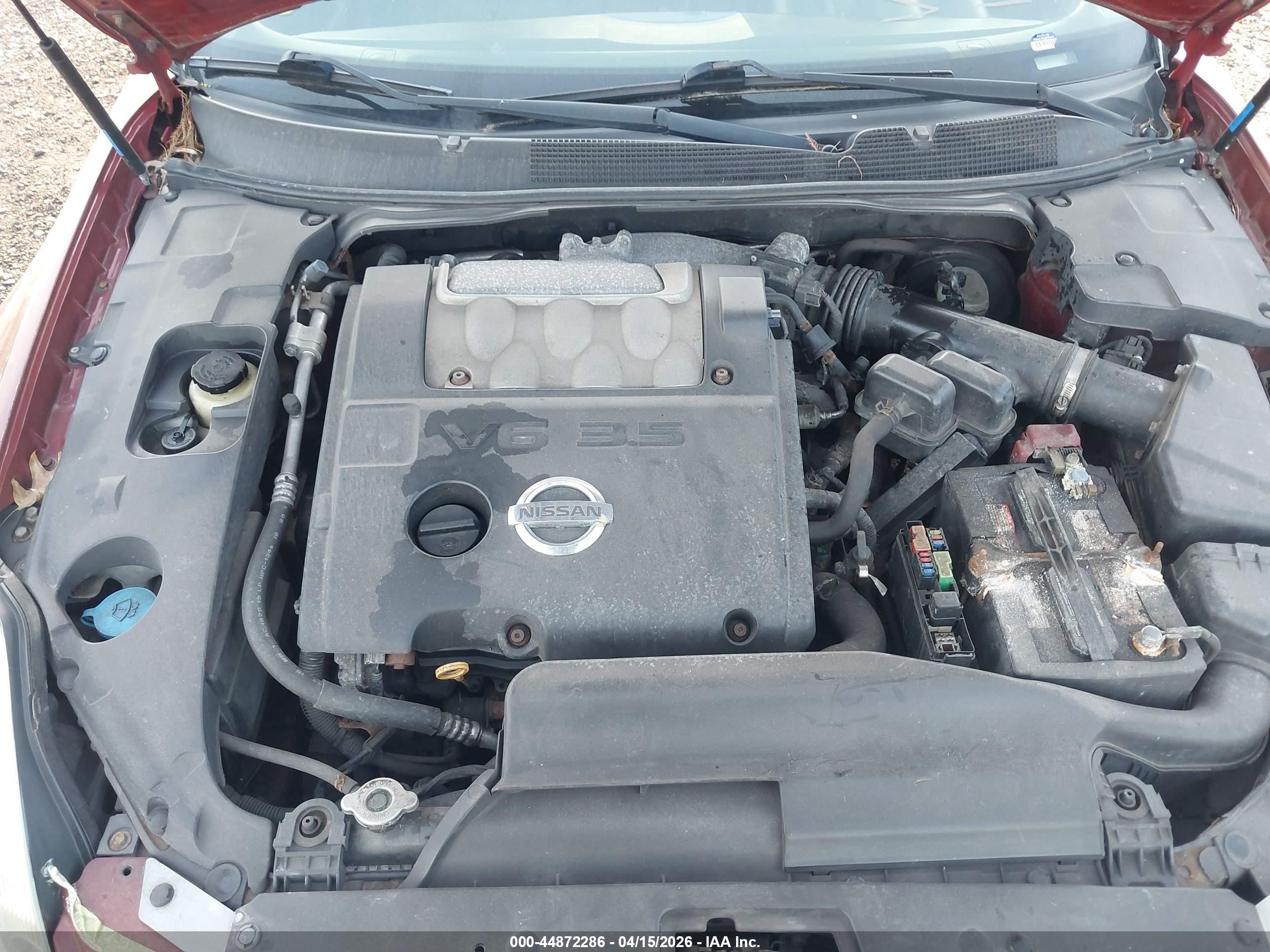 NISSAN MAXIMA image 10