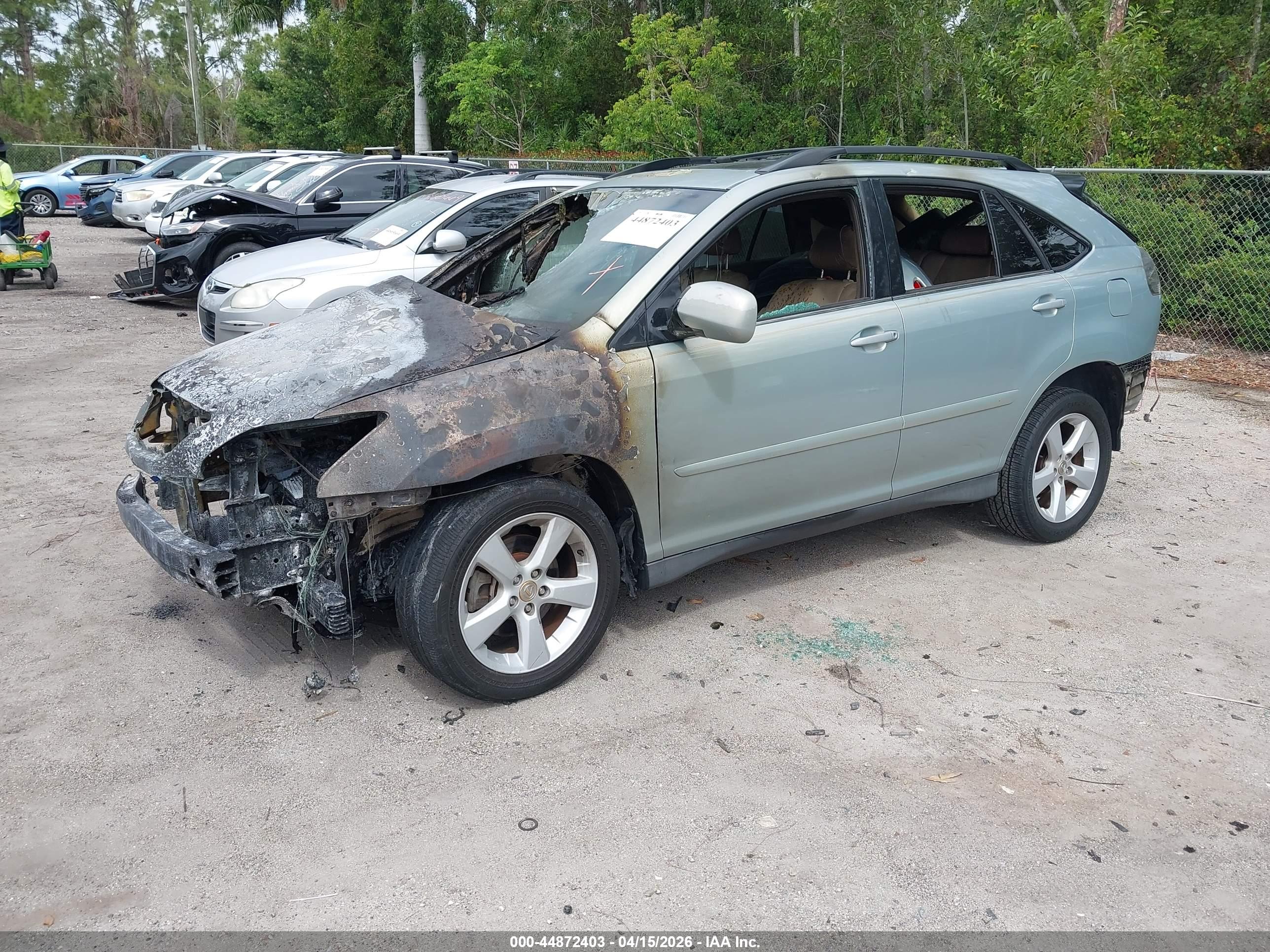 LEXUS RX image 2