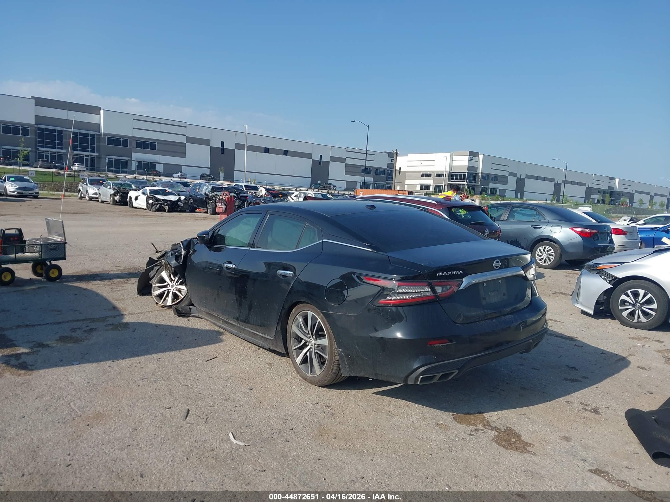 NISSAN MAXIMA image 3