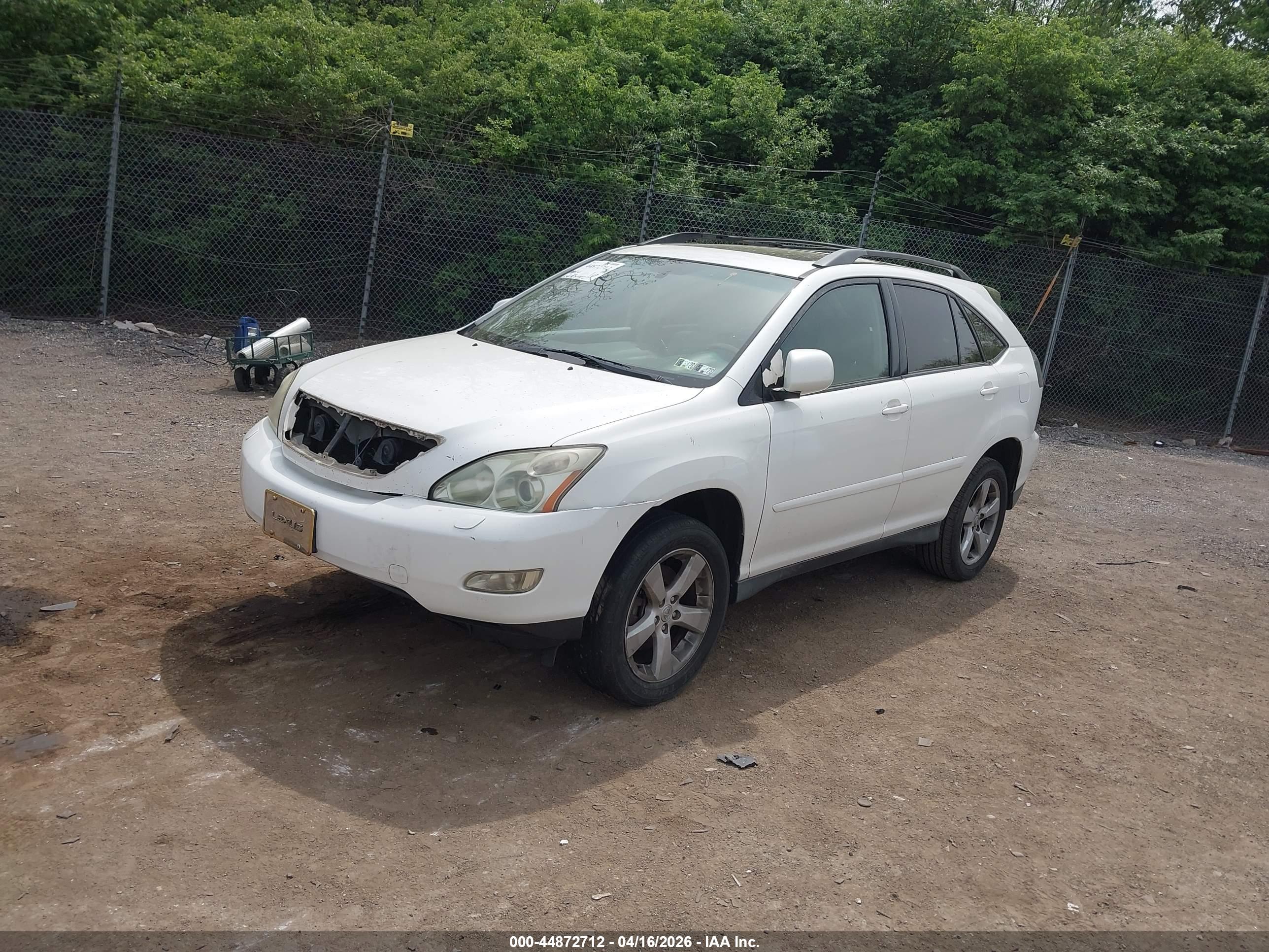 LEXUS RX image 2