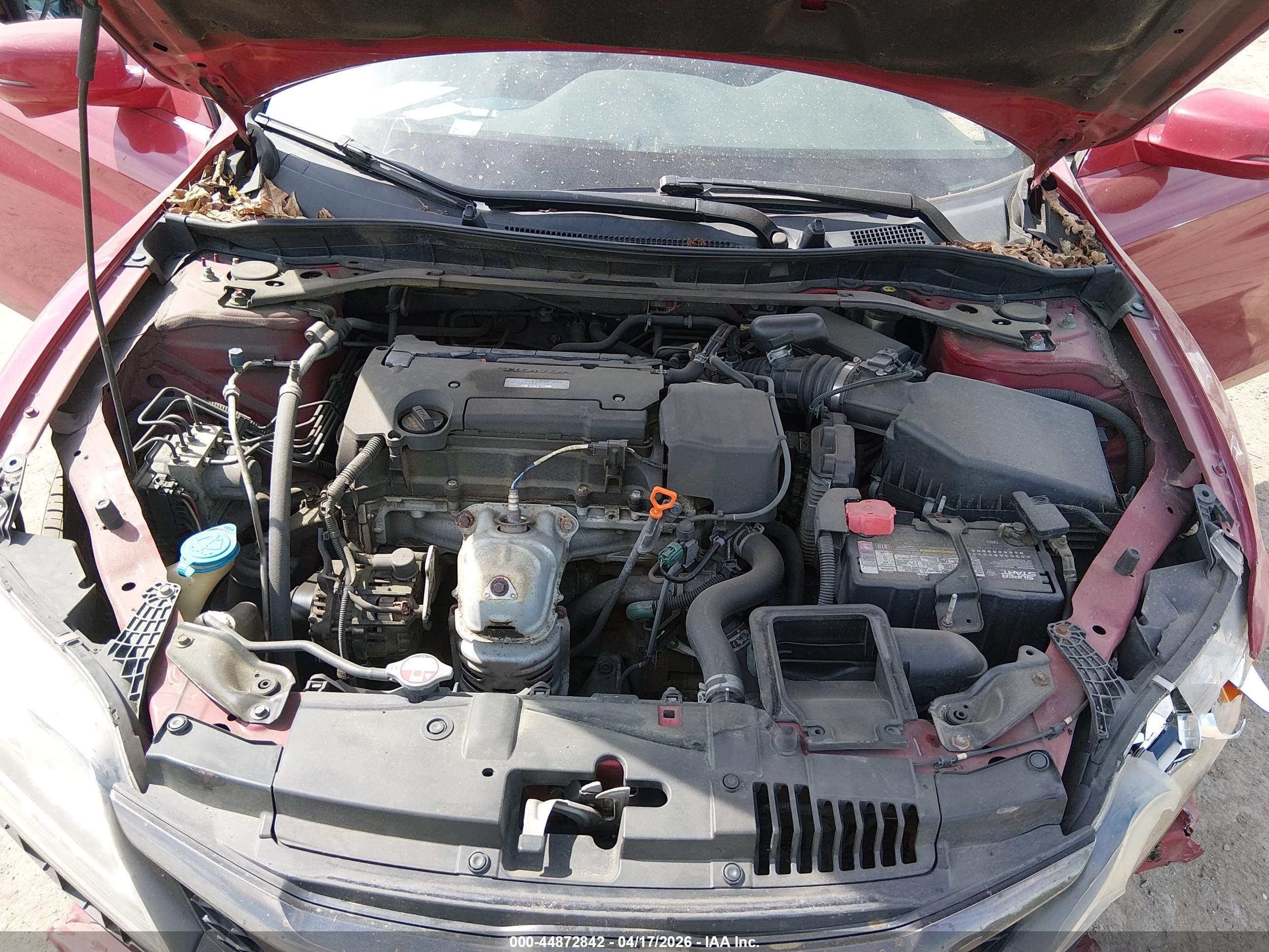 HONDA ACCORD image 10