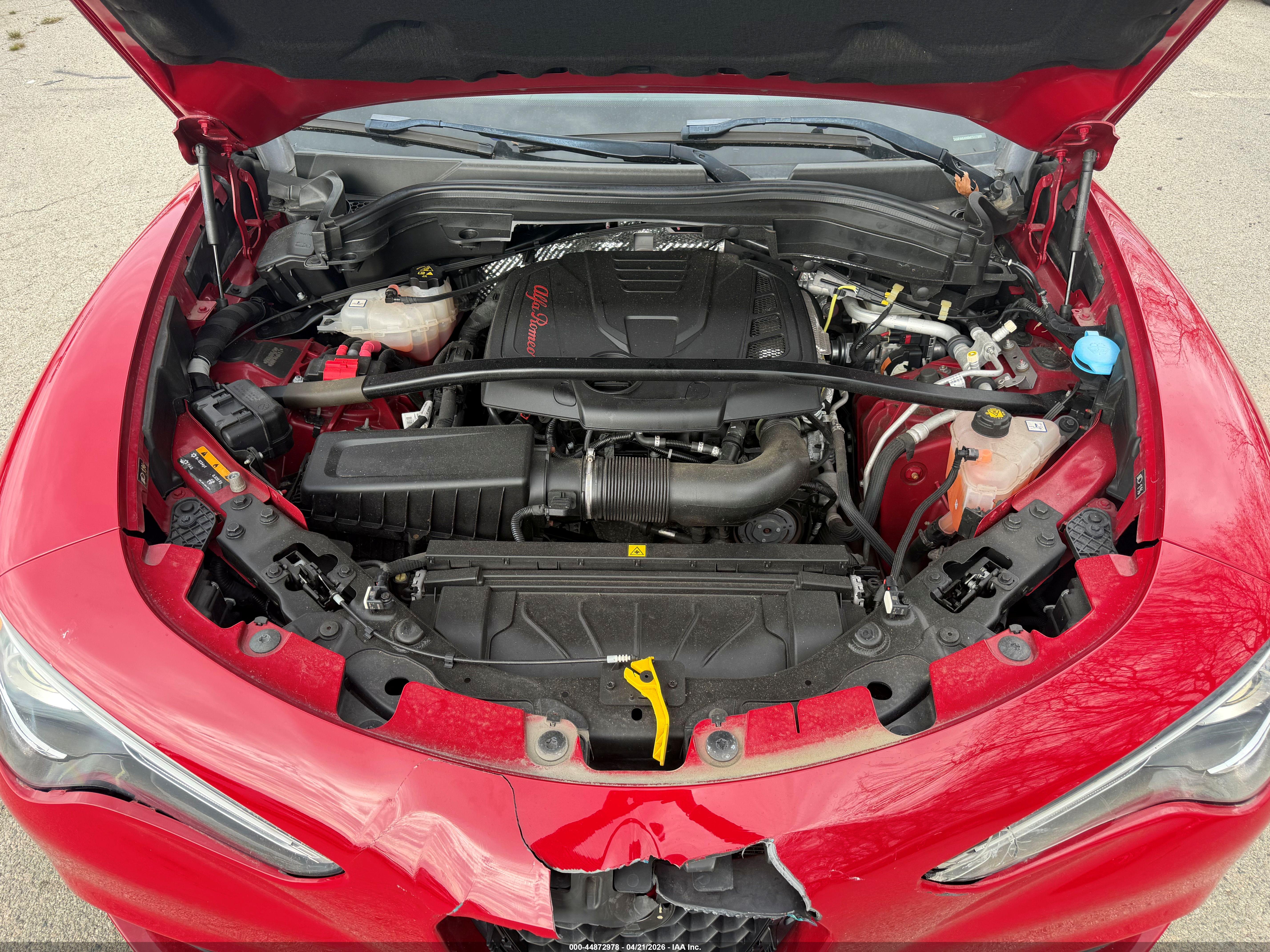 ALFA ROMEO image 10