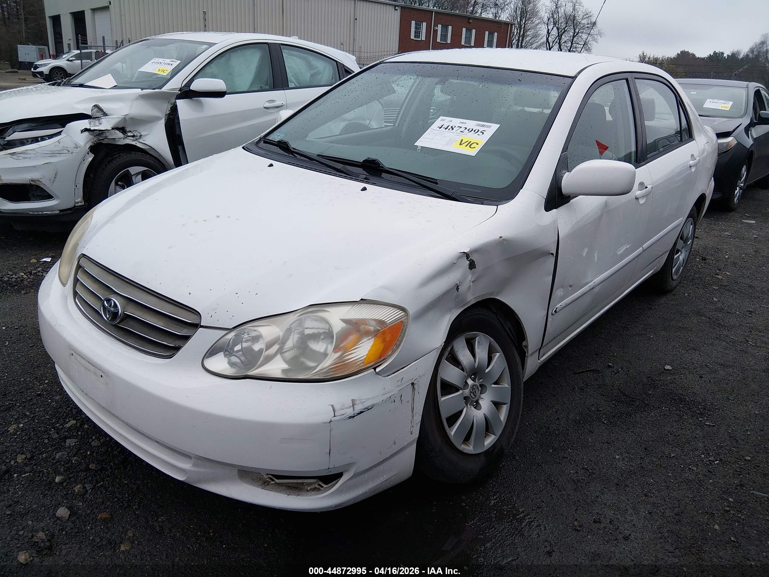 TOYOTA COROLLA image 2