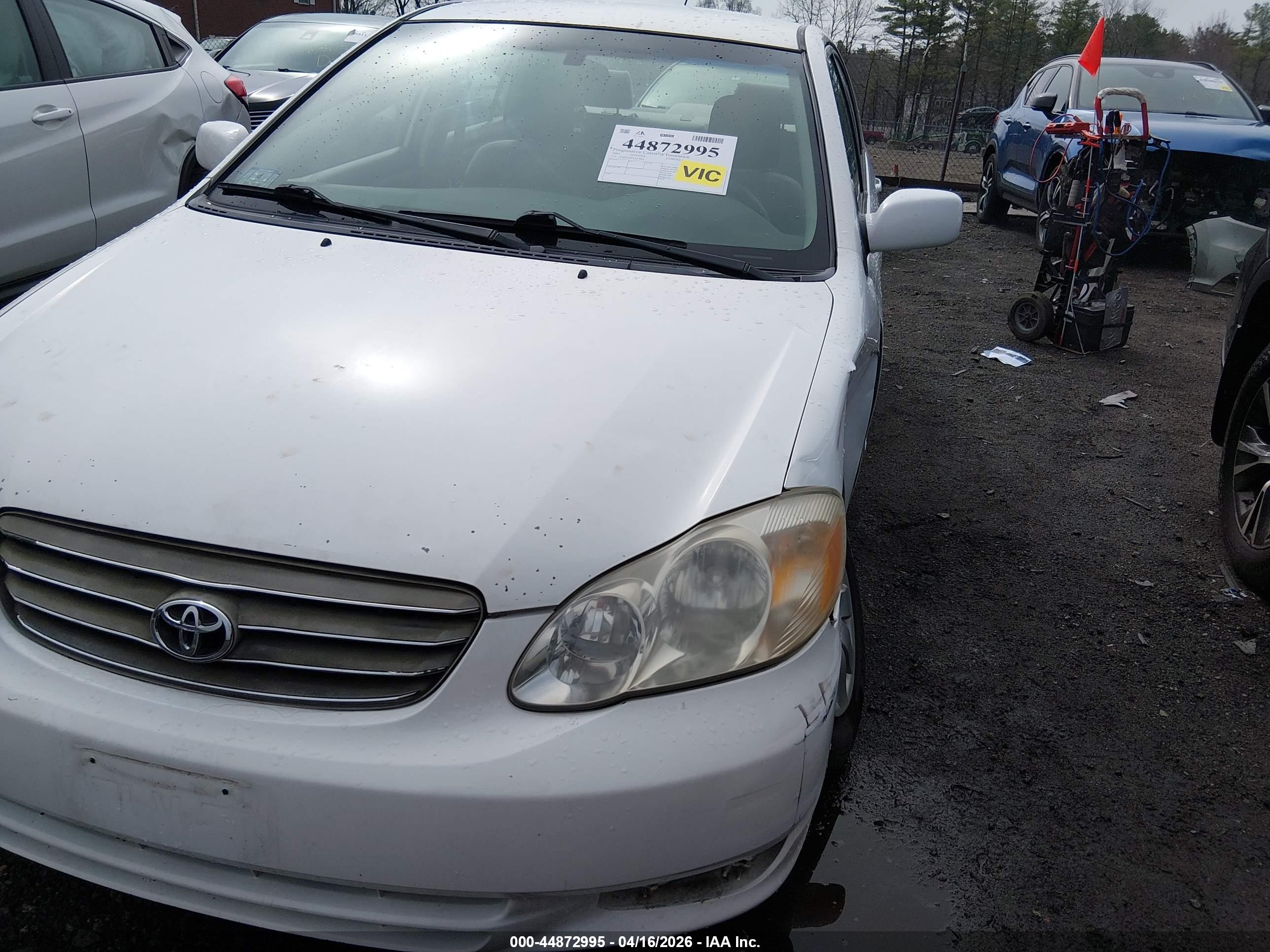 TOYOTA COROLLA image 6