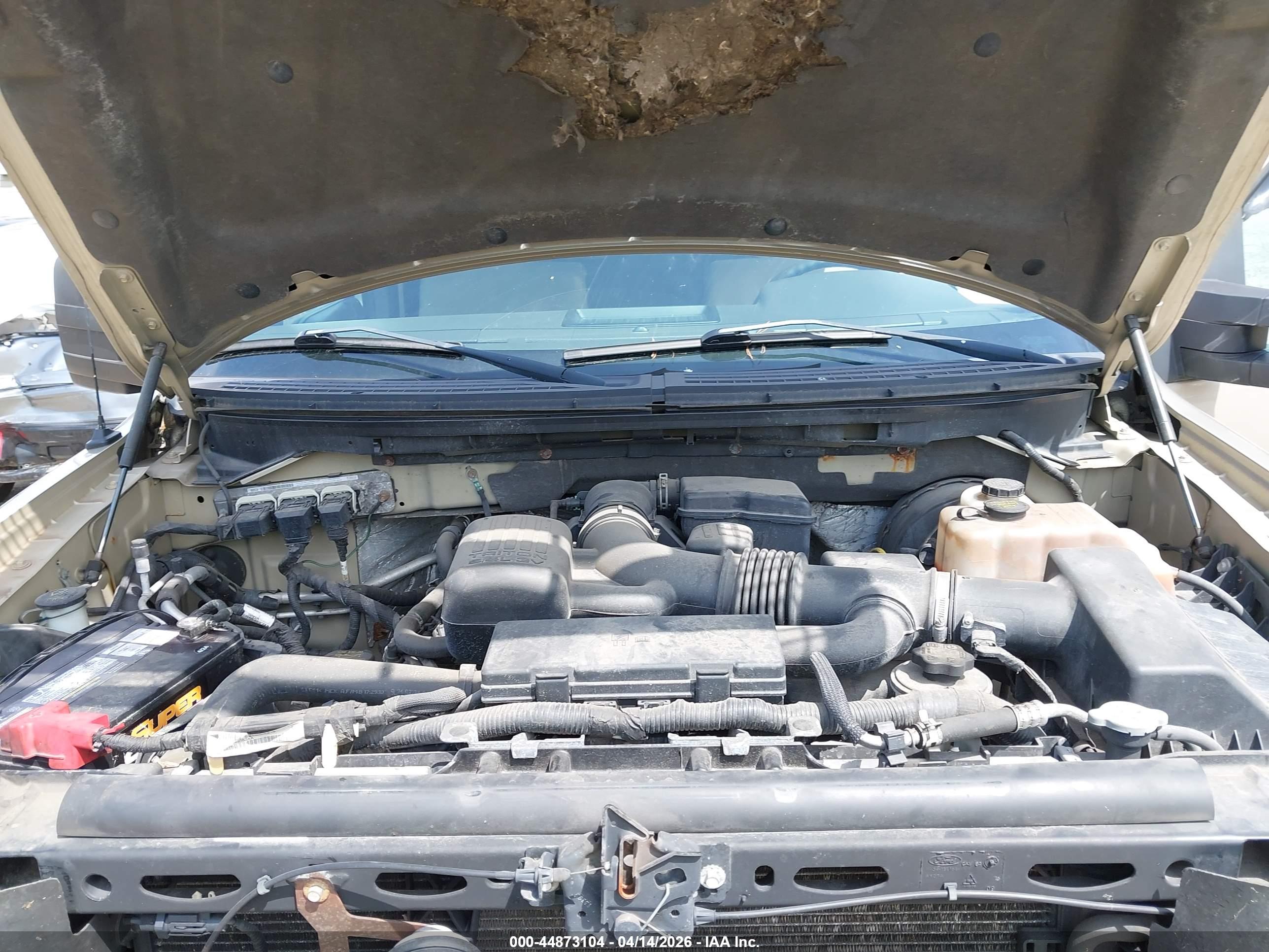 FORD F-150 image 10