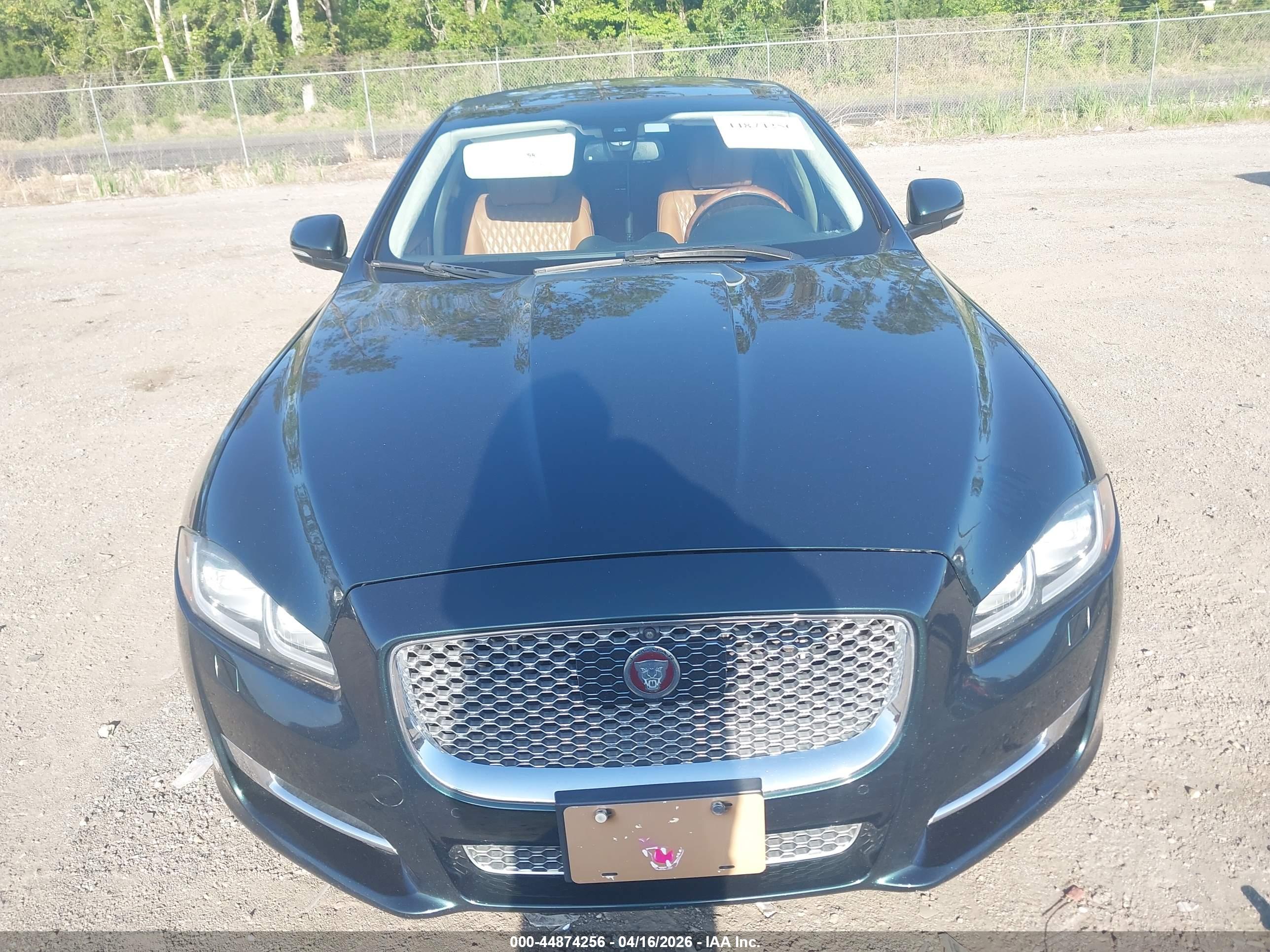 JAGUAR XJ image 6