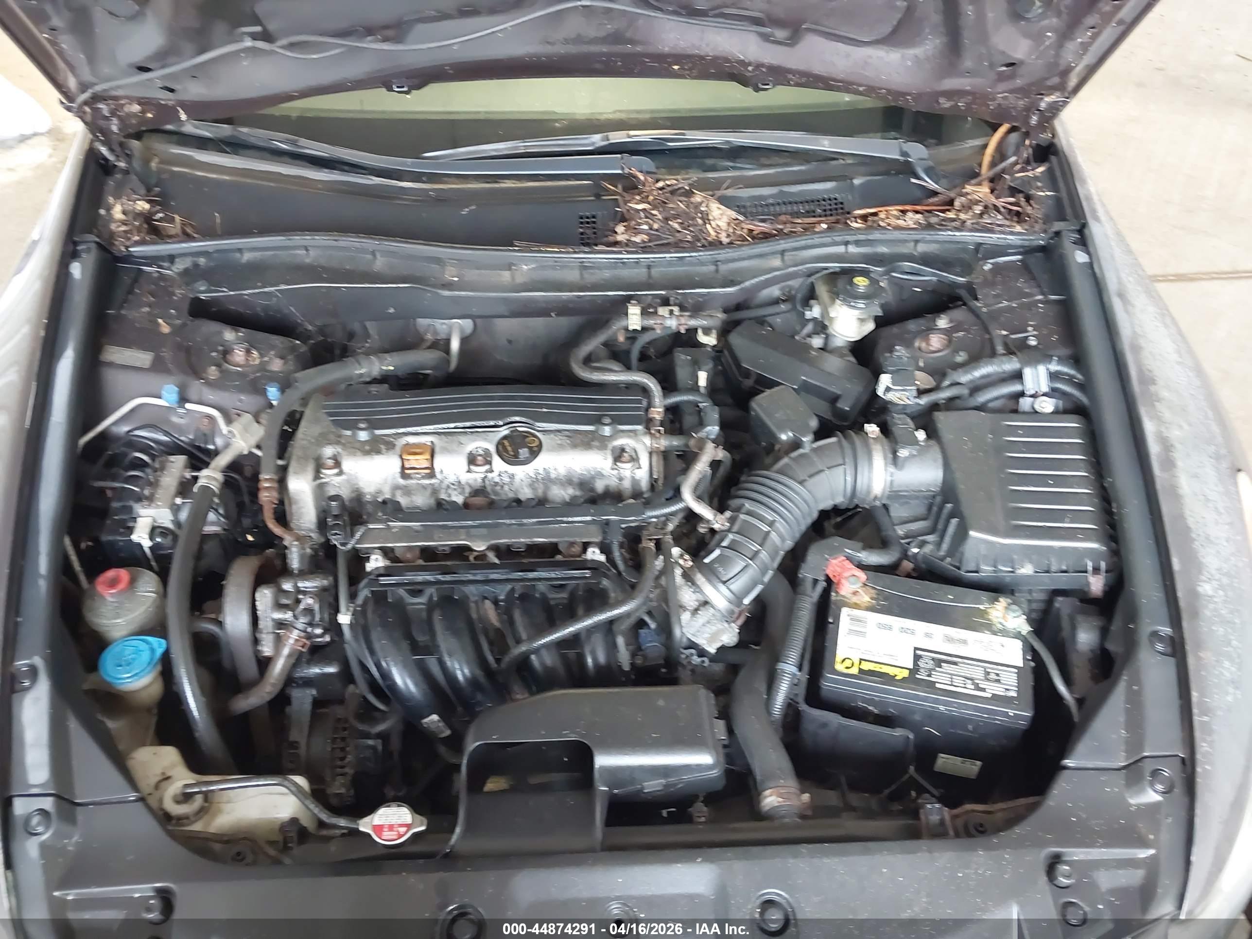 HONDA ACCORD image 10