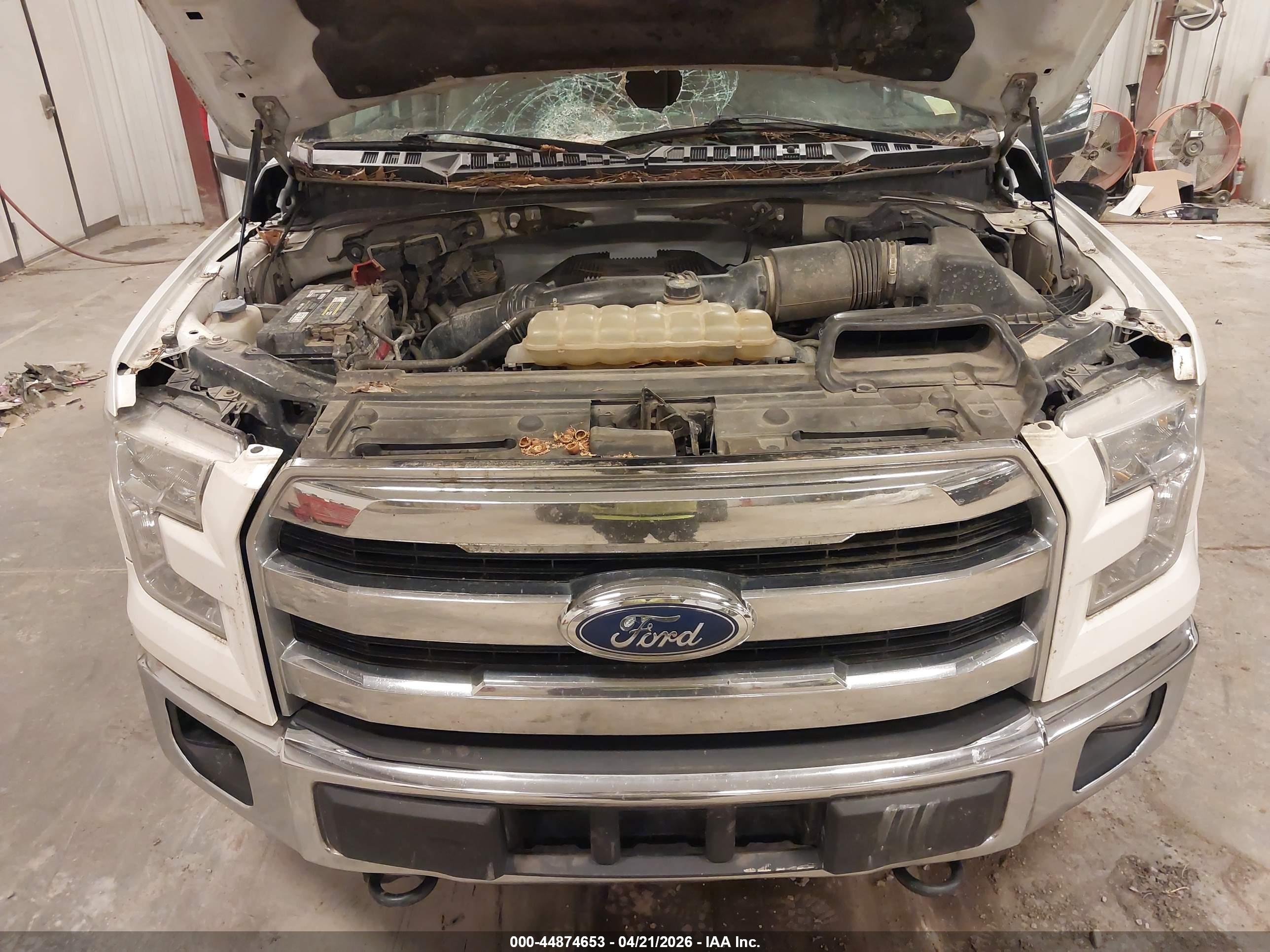 FORD F-150 image 10