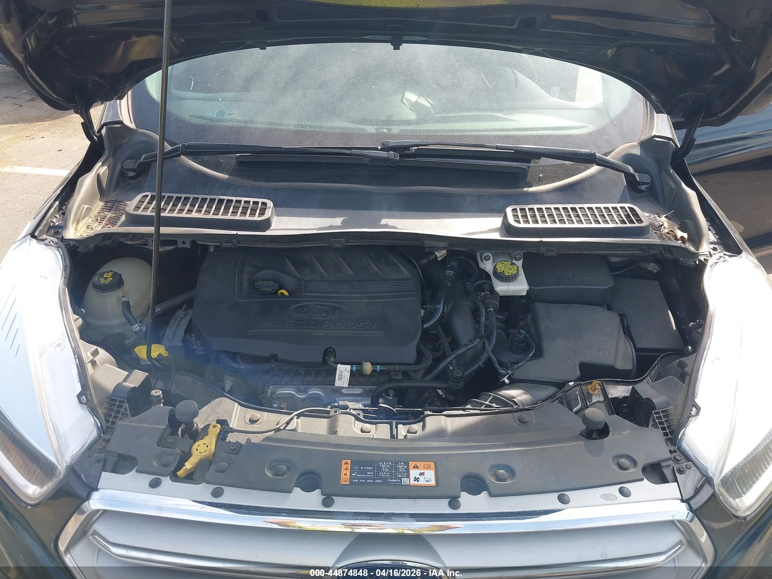 FORD ESCAPE image 10