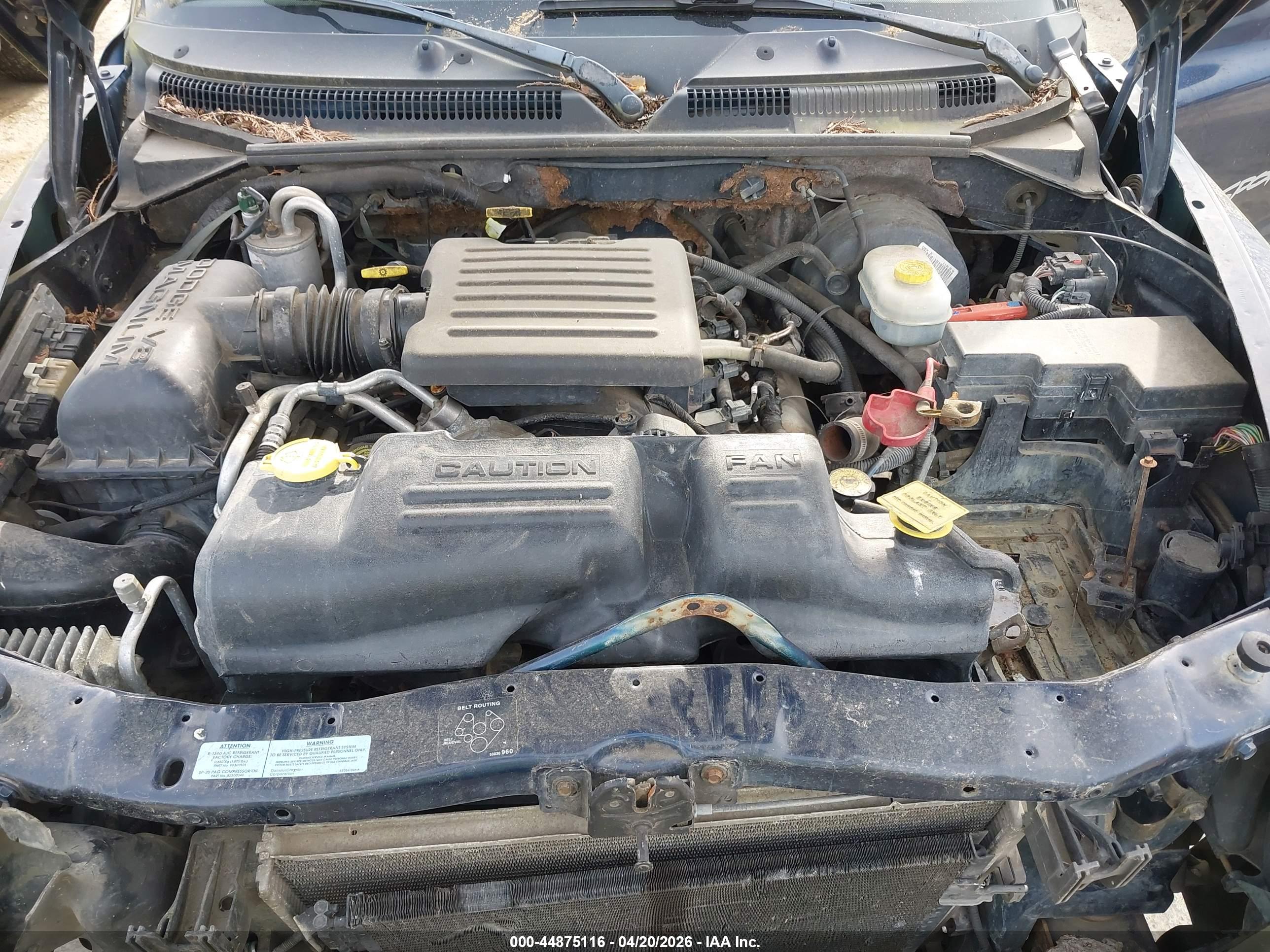 DODGE DAKOTA image 10