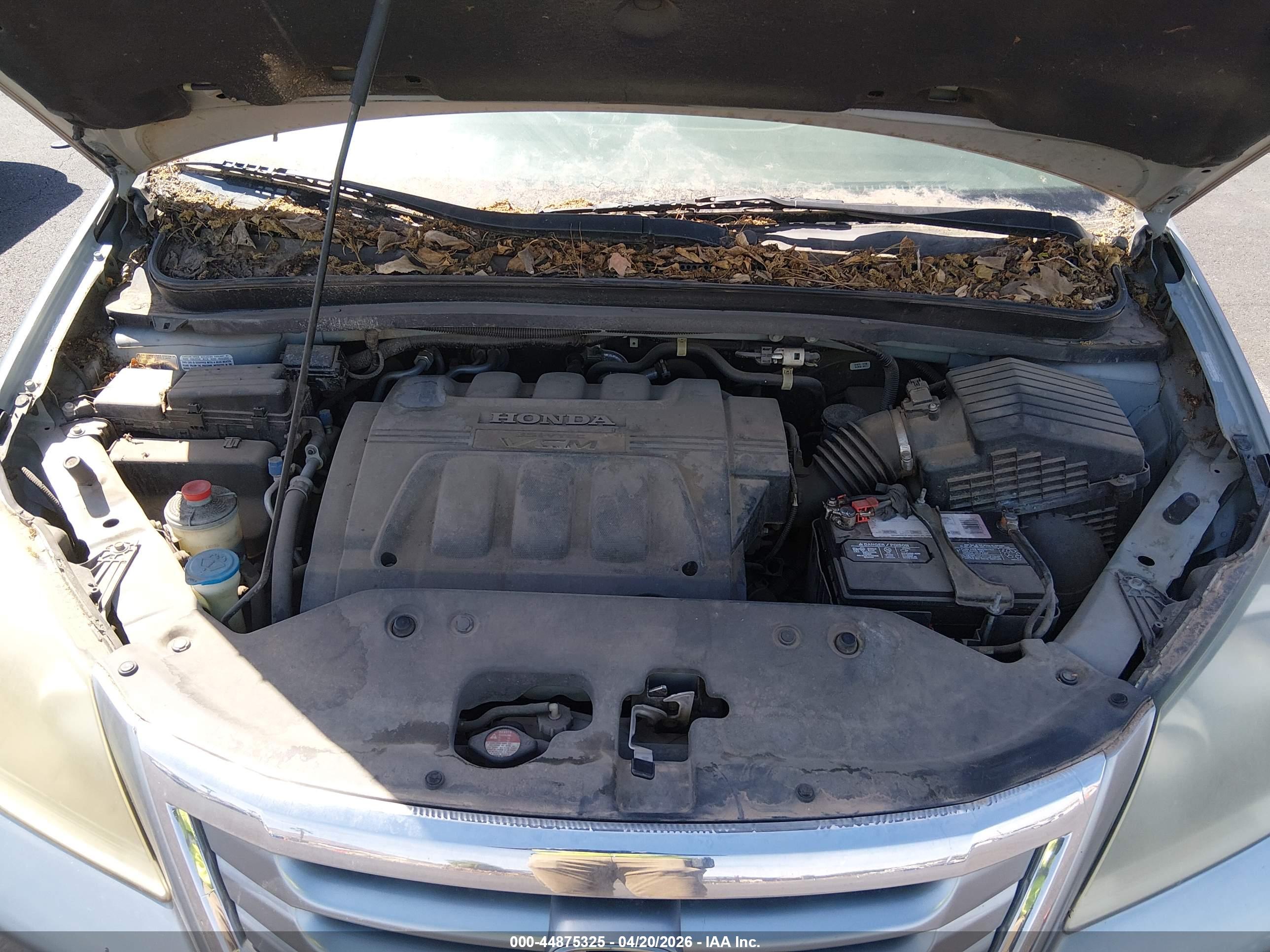 HONDA ODYSSEY image 10