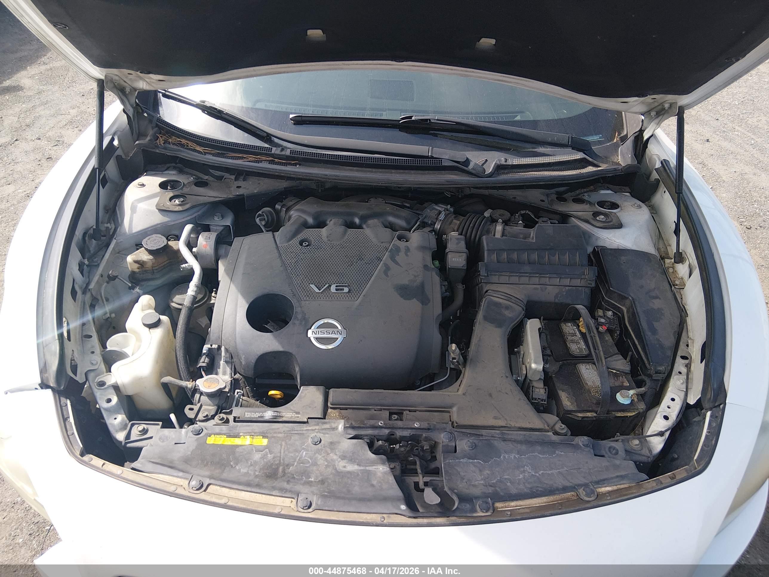 NISSAN MAXIMA image 10