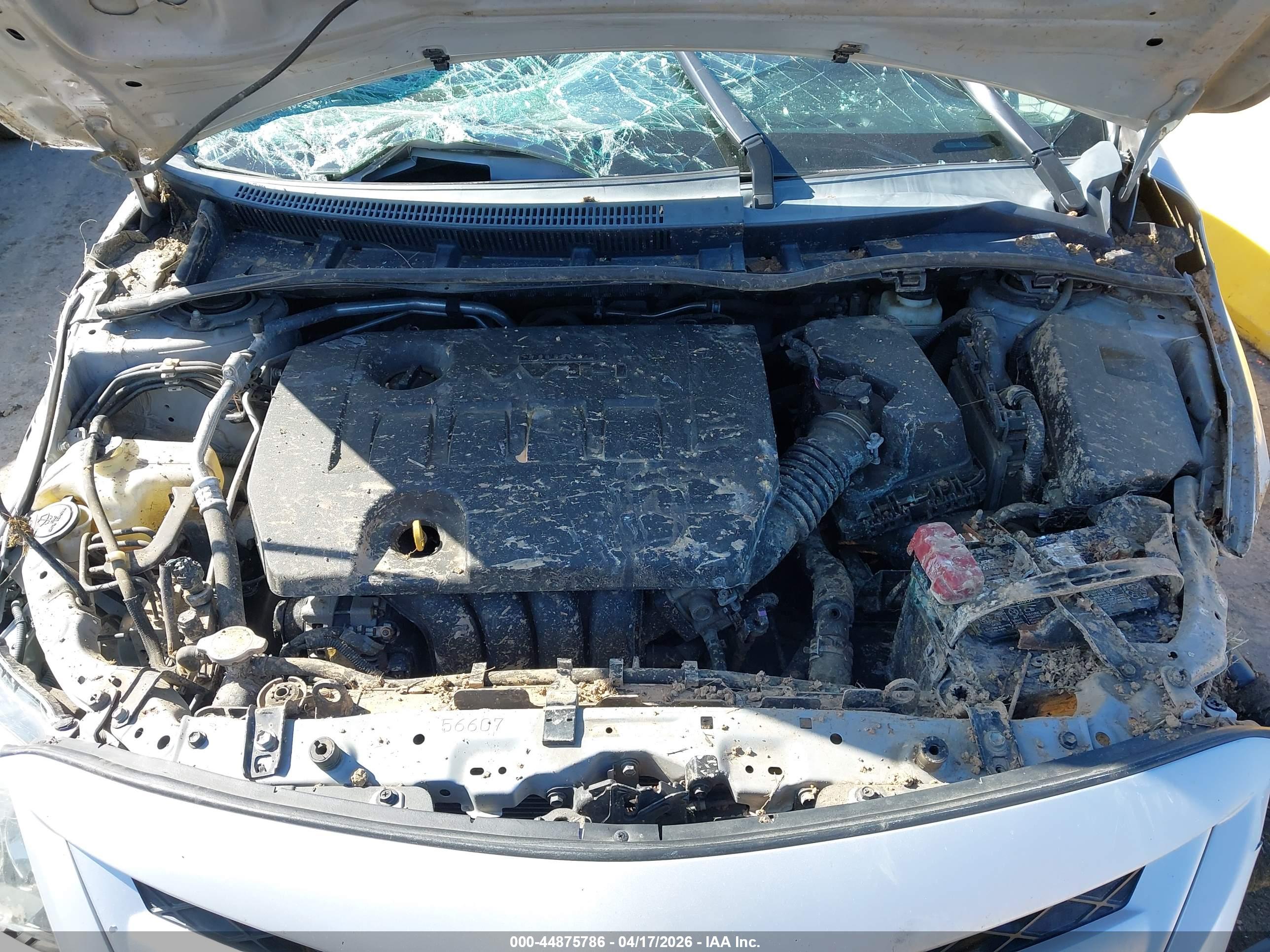 TOYOTA COROLLA image 10